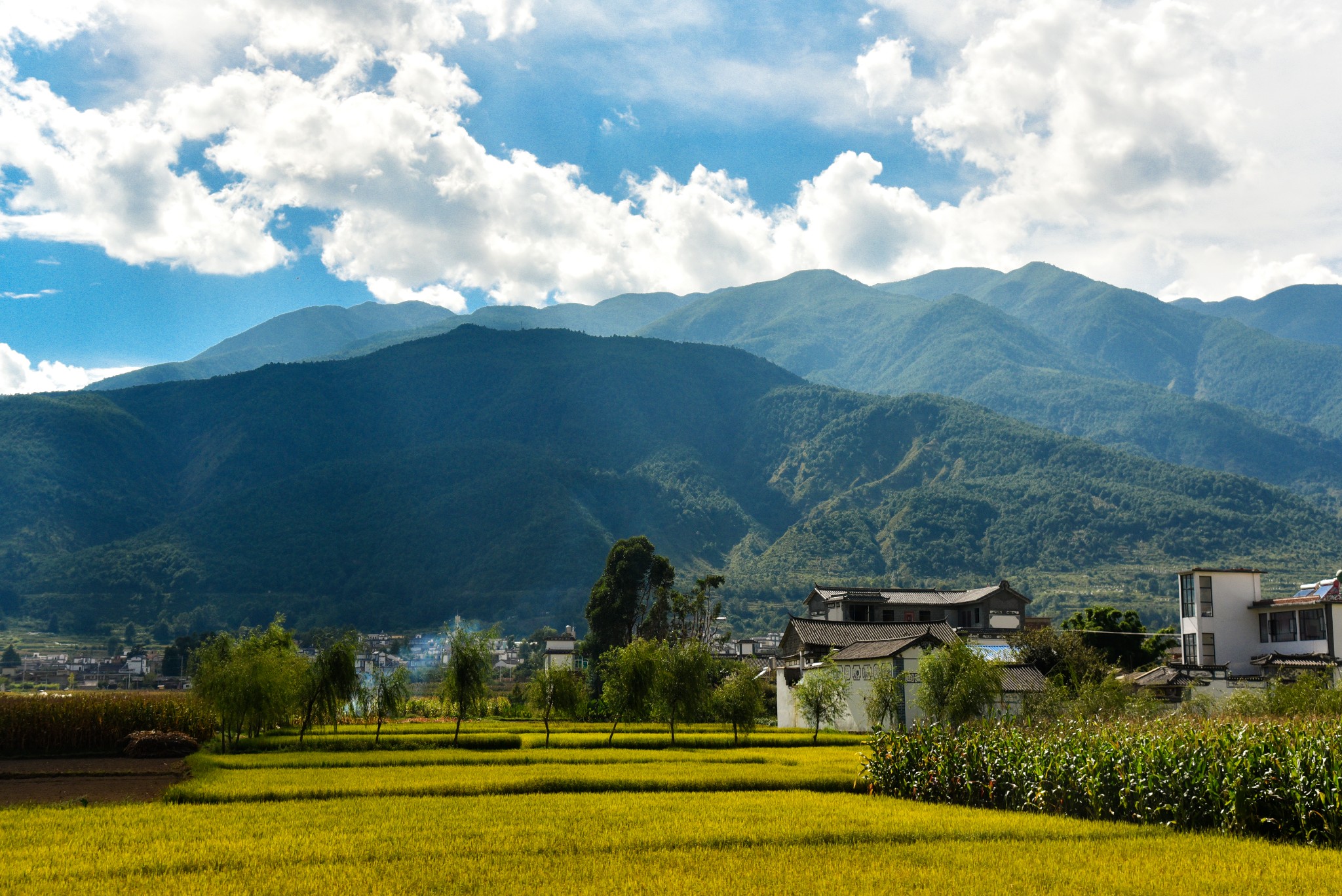 雲南自助遊攻略