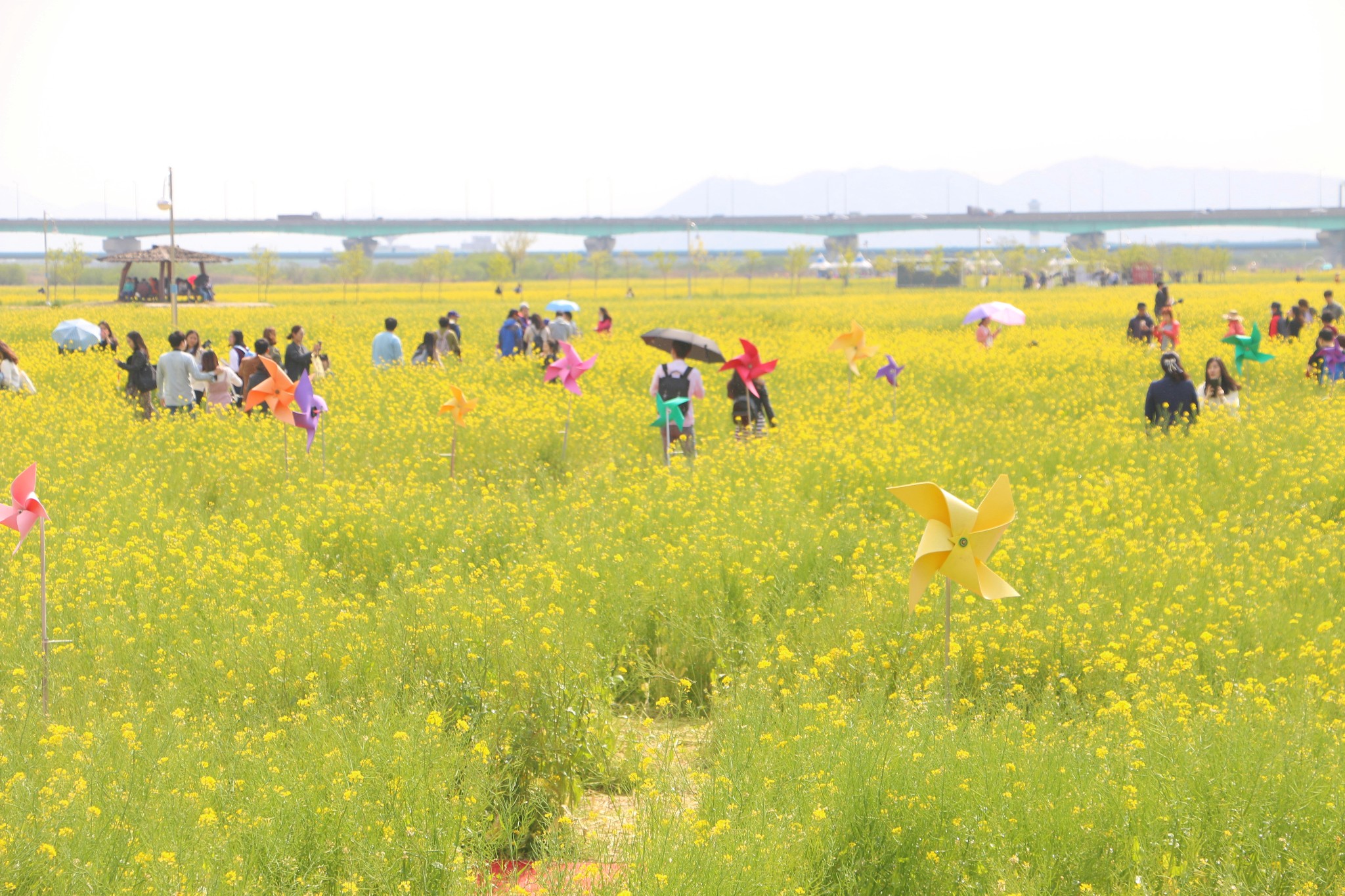 釜山自助遊攻略