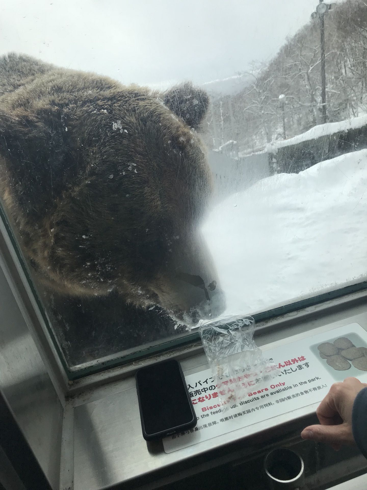 北海道自助遊攻略