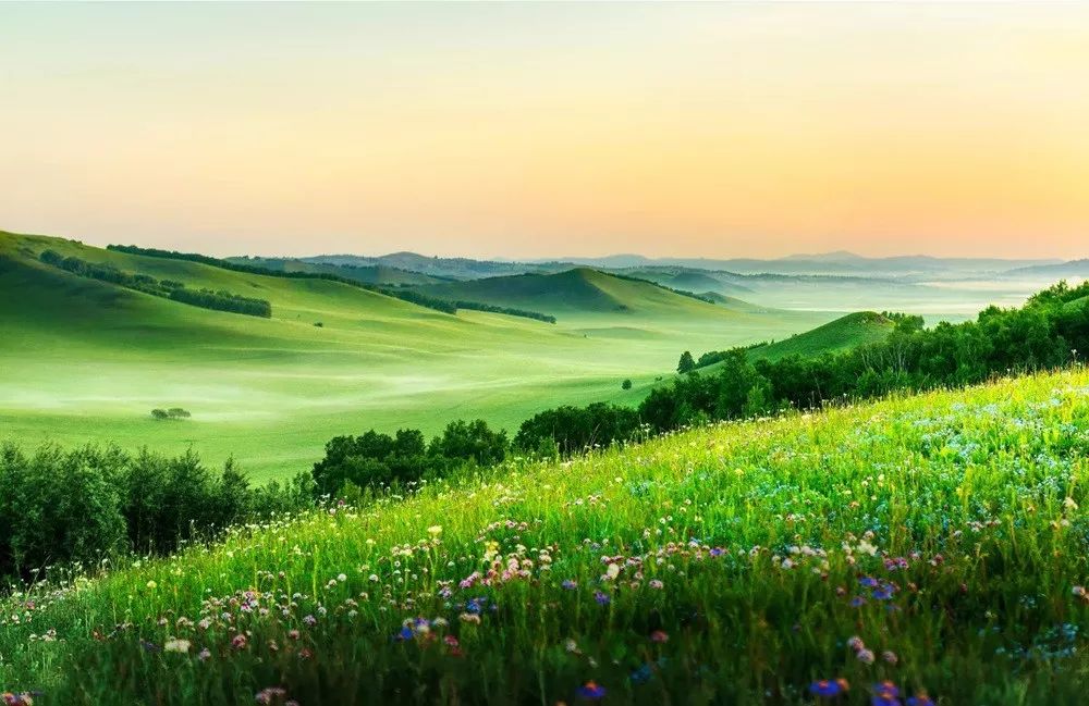 坝上草原的春天终于来了!如人间仙境简直要逼疯摄影师