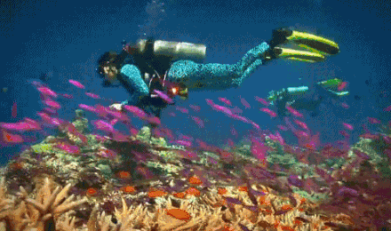 10人起可包 1元接机 特权登岛午餐 错峰登顶 加购香蕉船/飞鱼水上