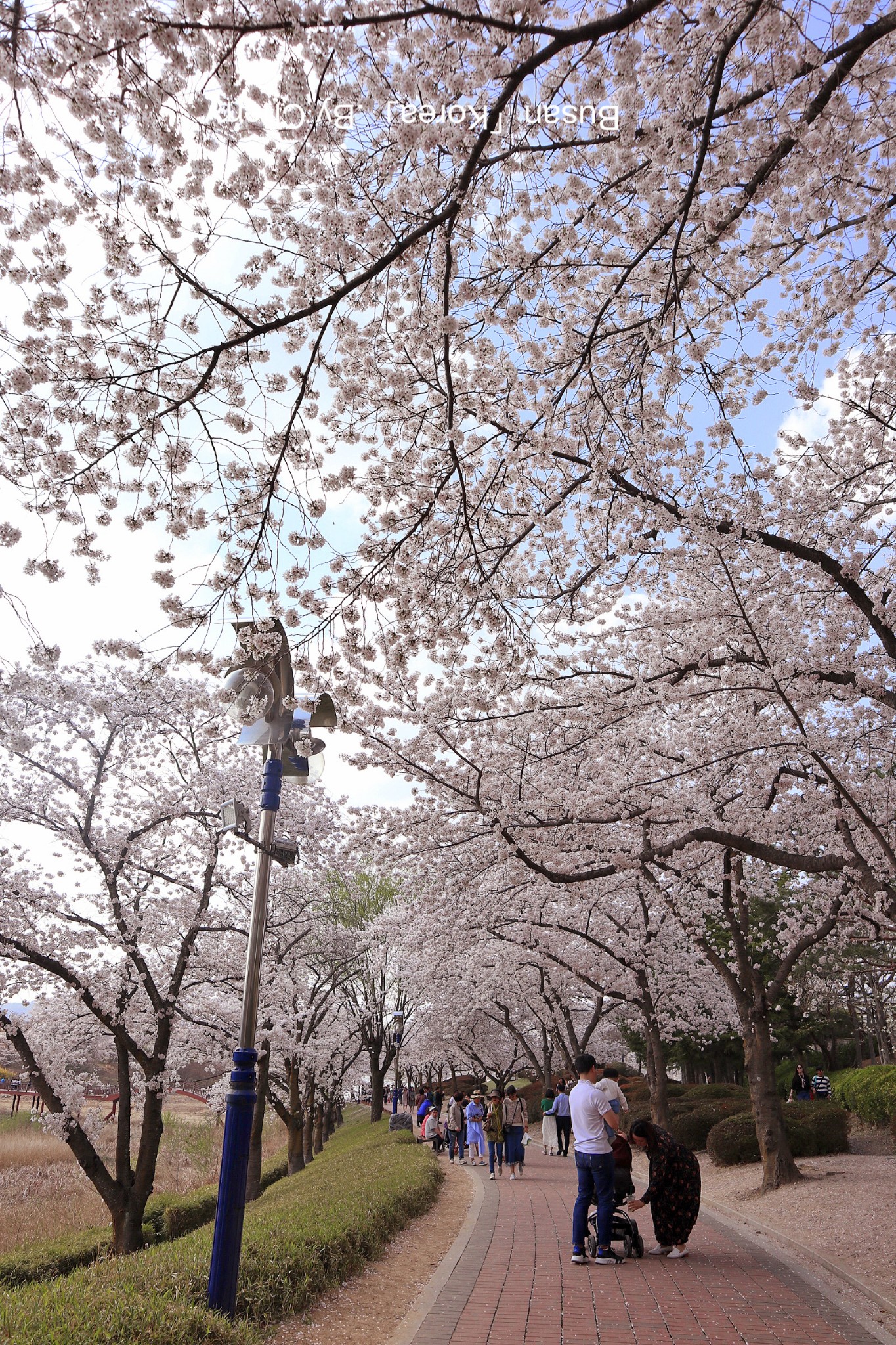 釜山自助遊攻略