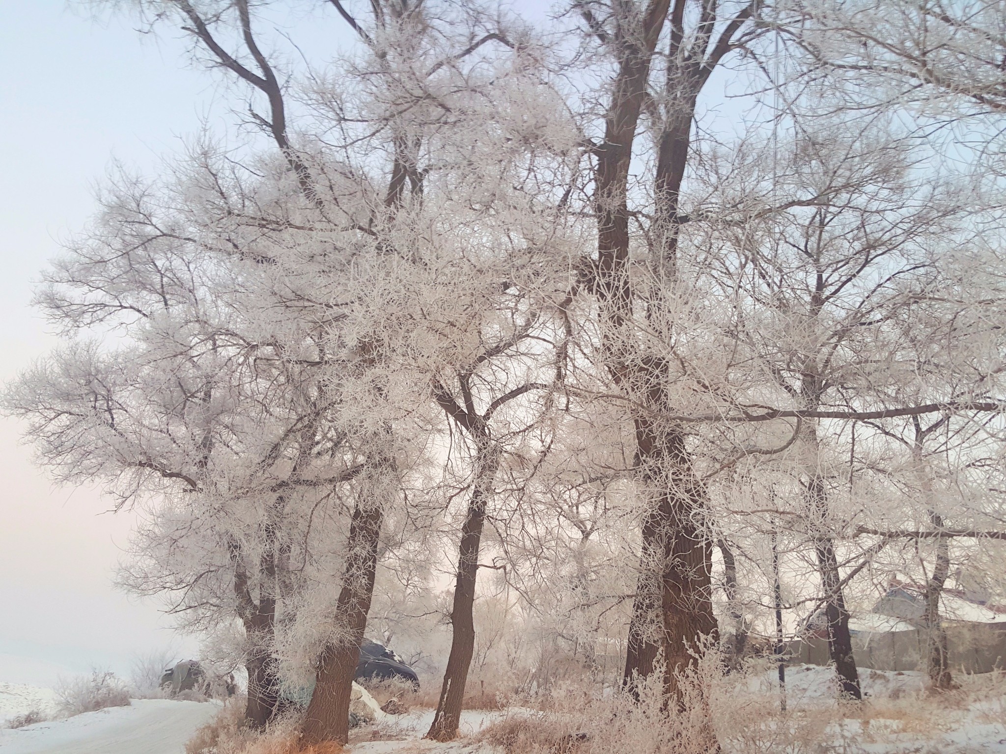 雪鄉自助遊攻略