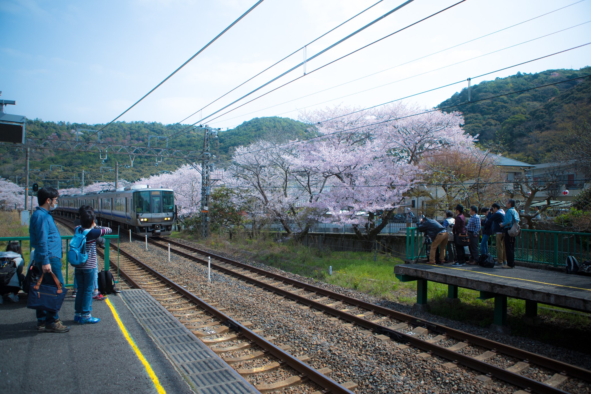 和歌山市自助遊攻略