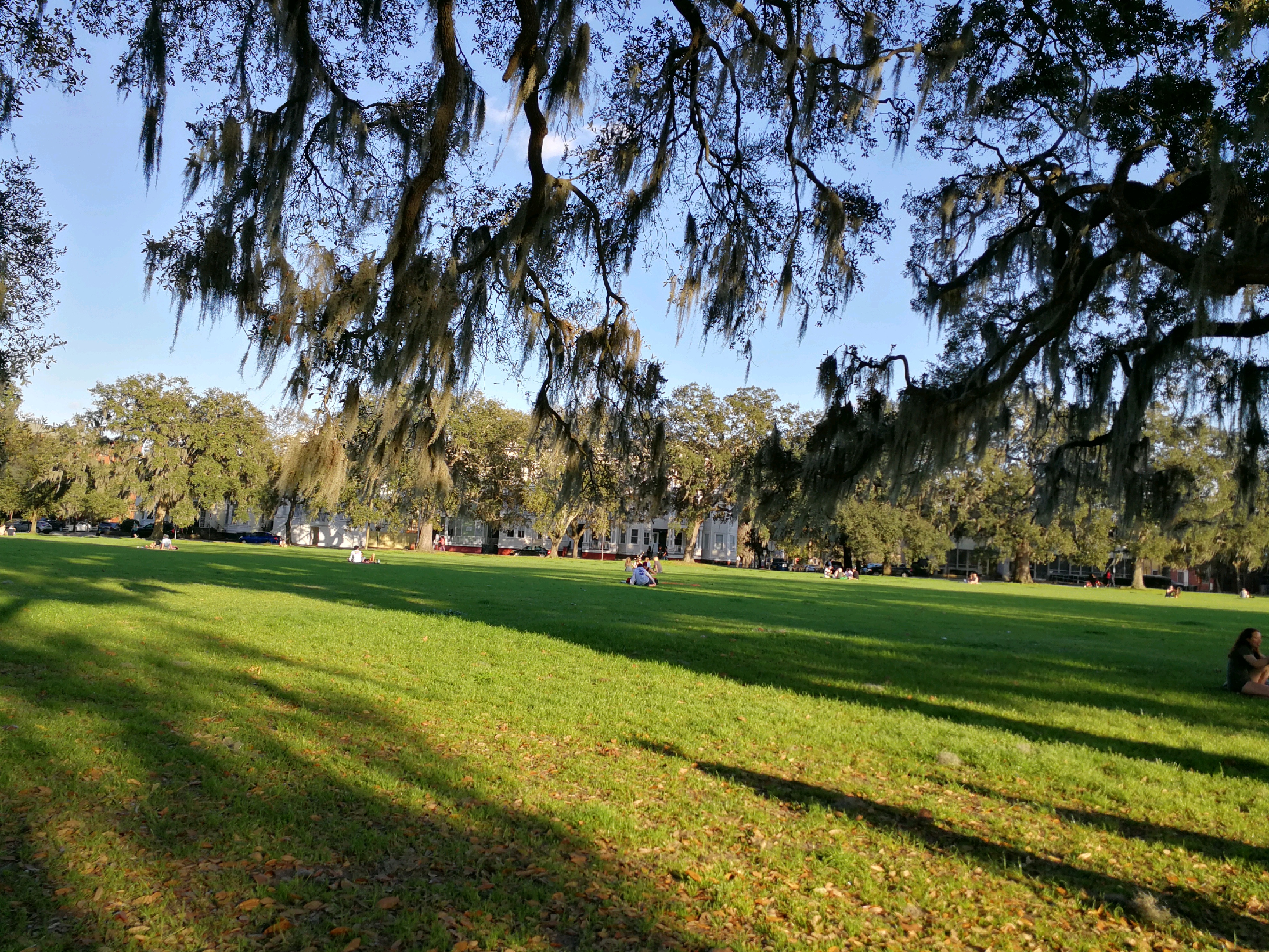 【萨凡纳景点图片】福赛思公园