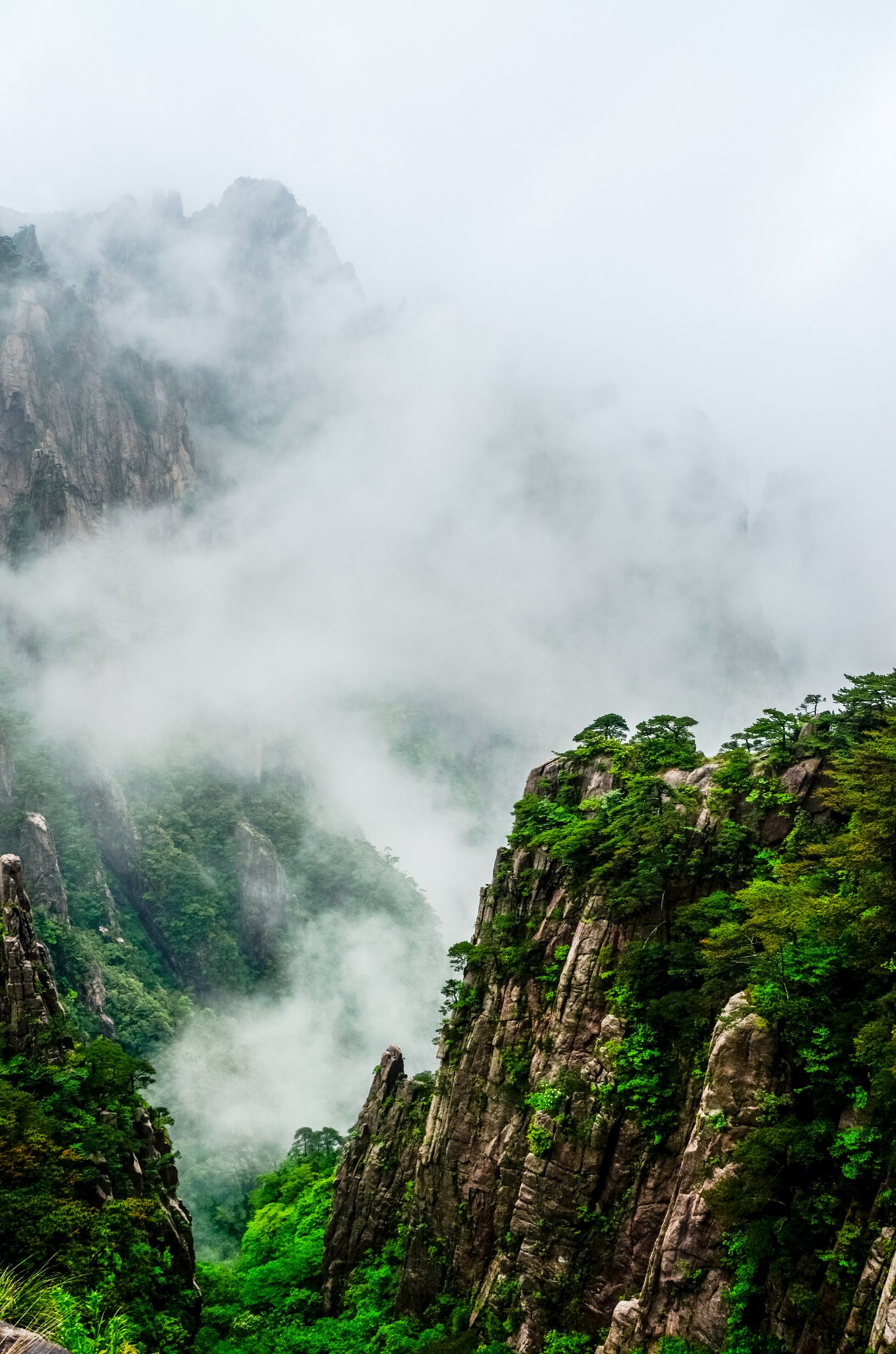 【黄山风景区】梦圆徽州—记,宏村5日小游(摄影|探古寻幽)