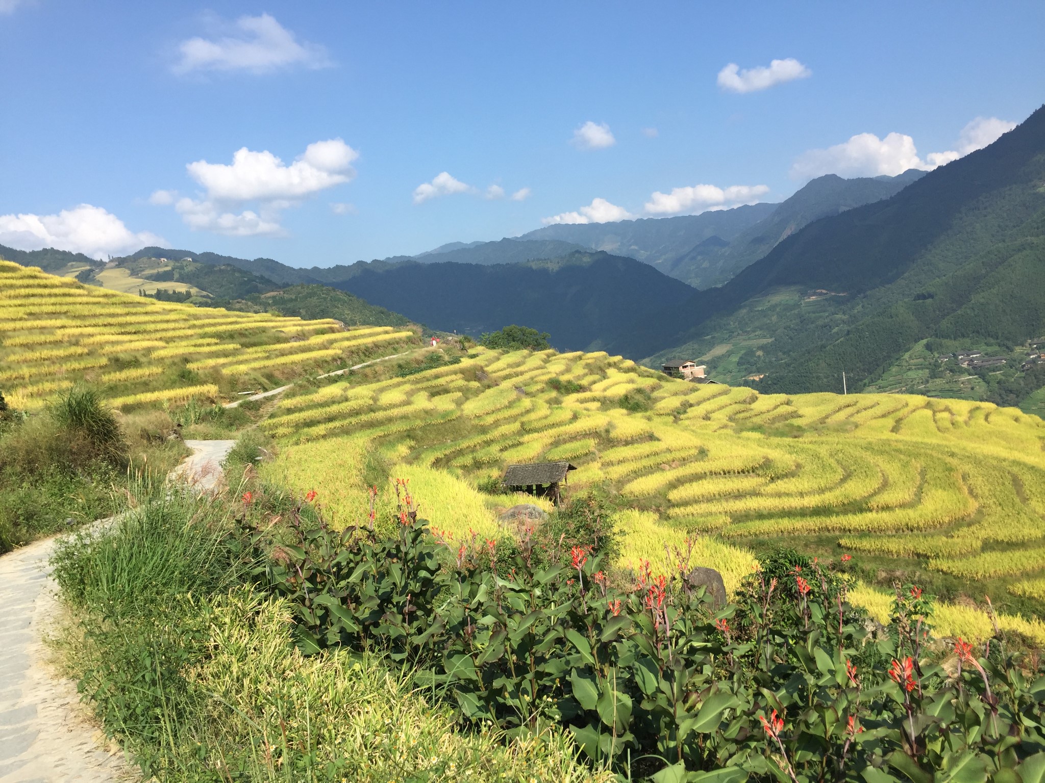 龍脊梯田自助遊攻略