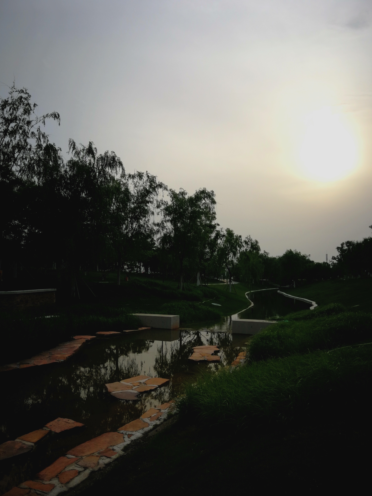 观遗鸥的好去处天津生态城遗鸥公园