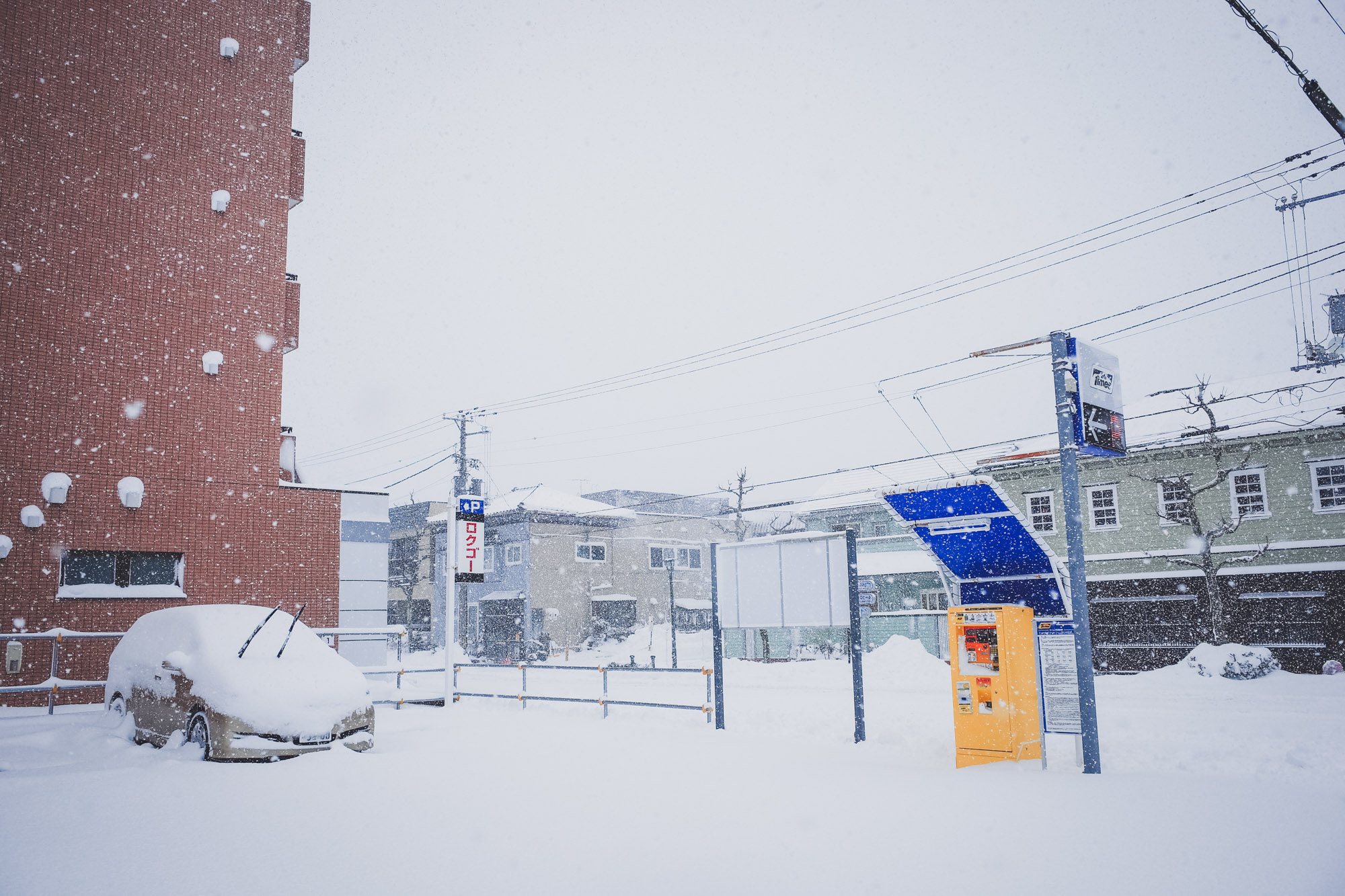 北海道自助遊攻略