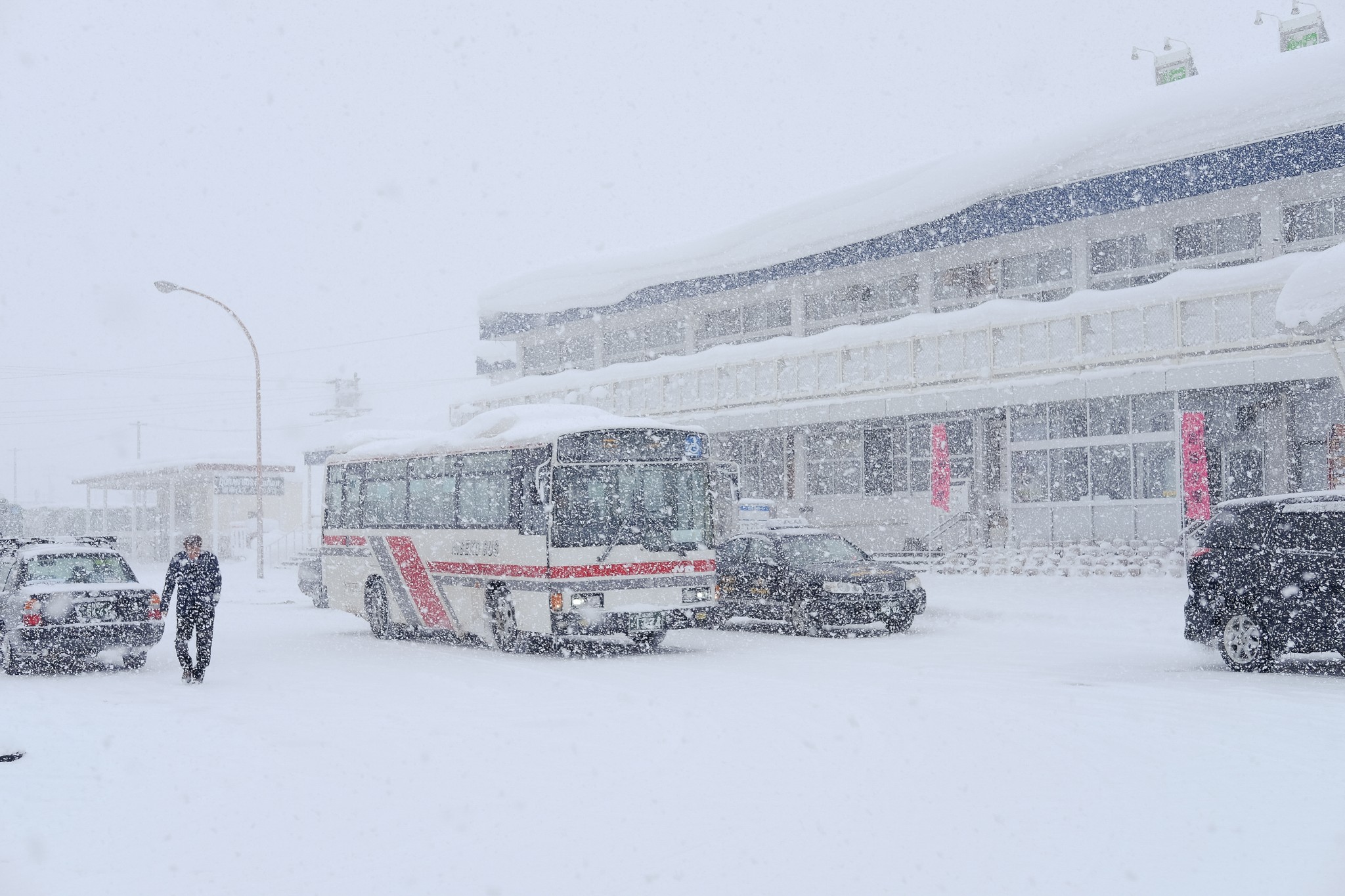 北海道自助遊攻略