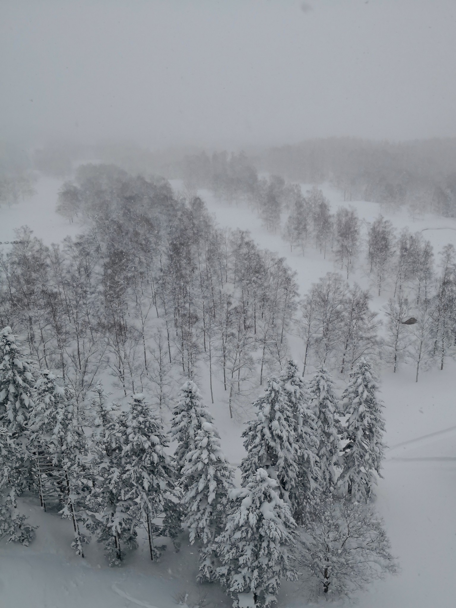 北海道自助遊攻略