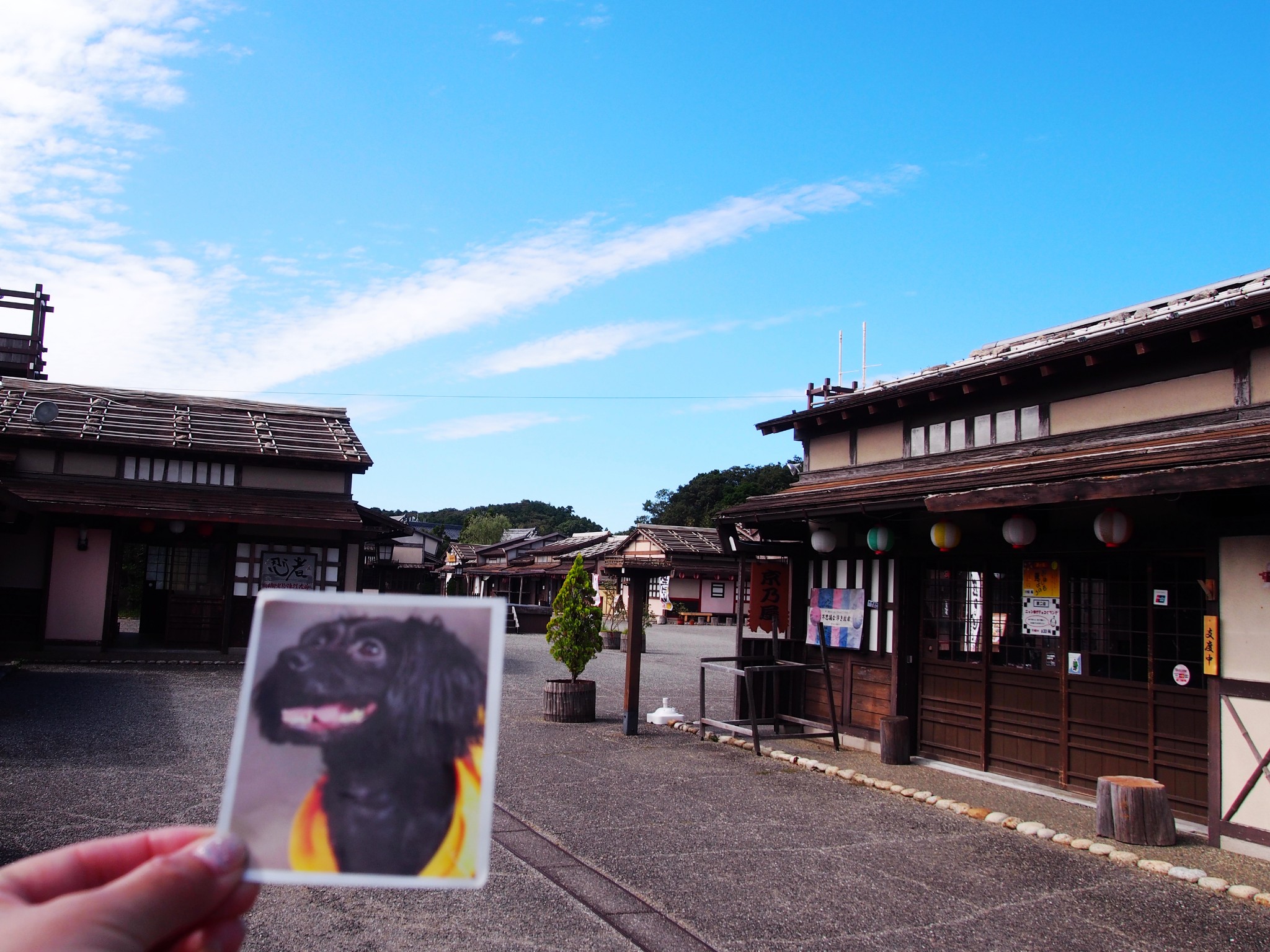 日本三重縣伊勢市無人景區安土桃山城下街江戶主題樂園1小時遊