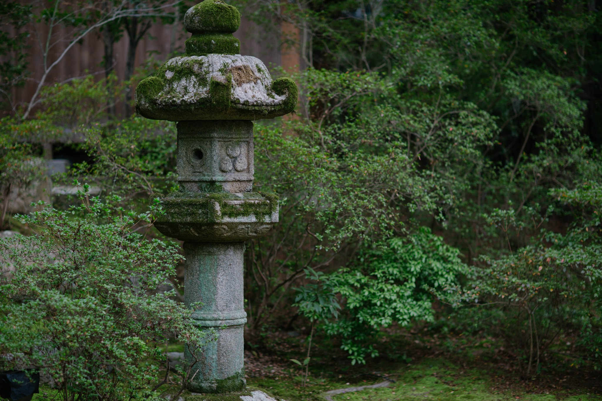 京都自助遊攻略