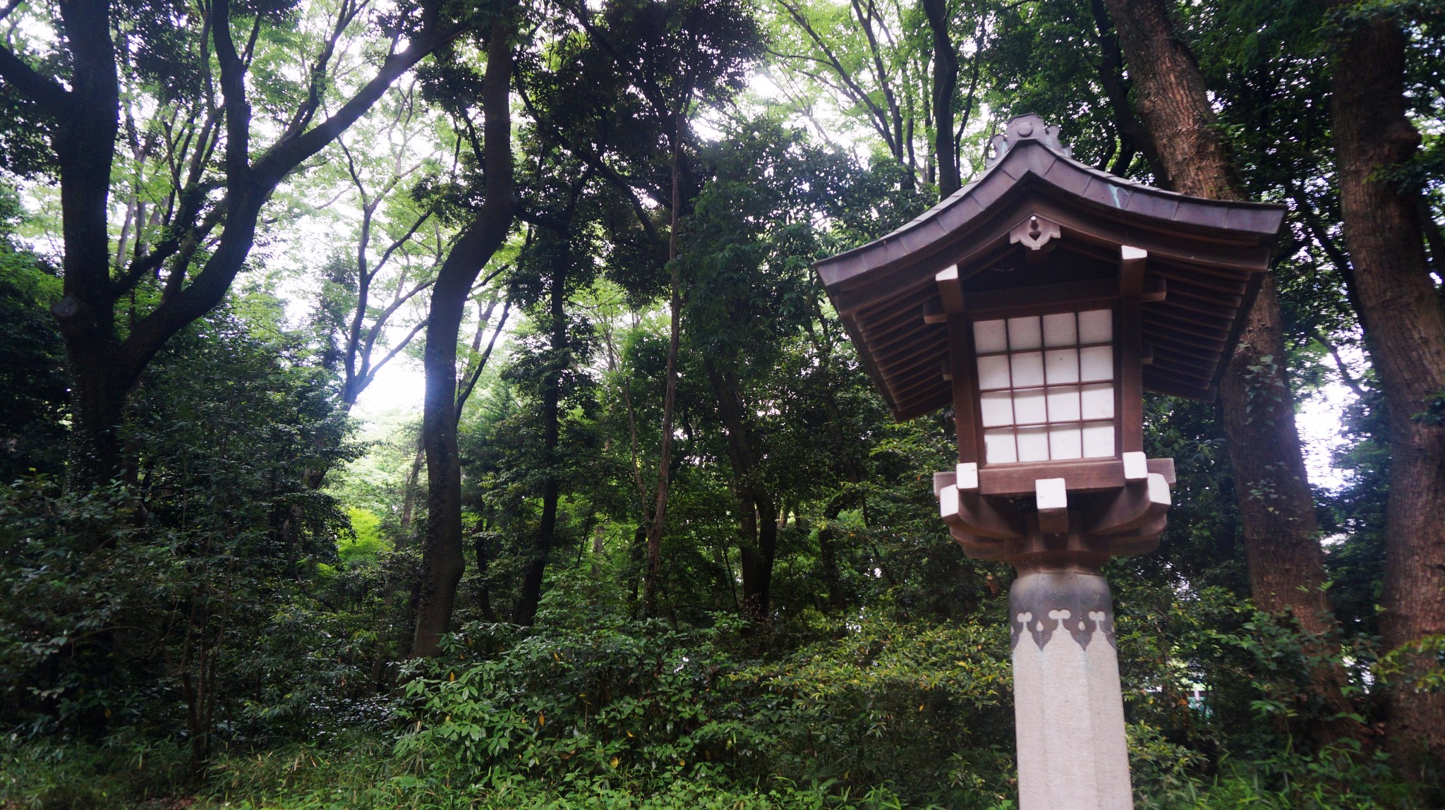 京都自助遊攻略