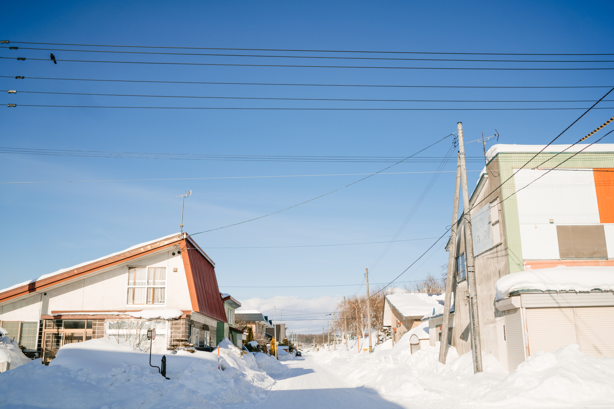 北海道自助遊攻略