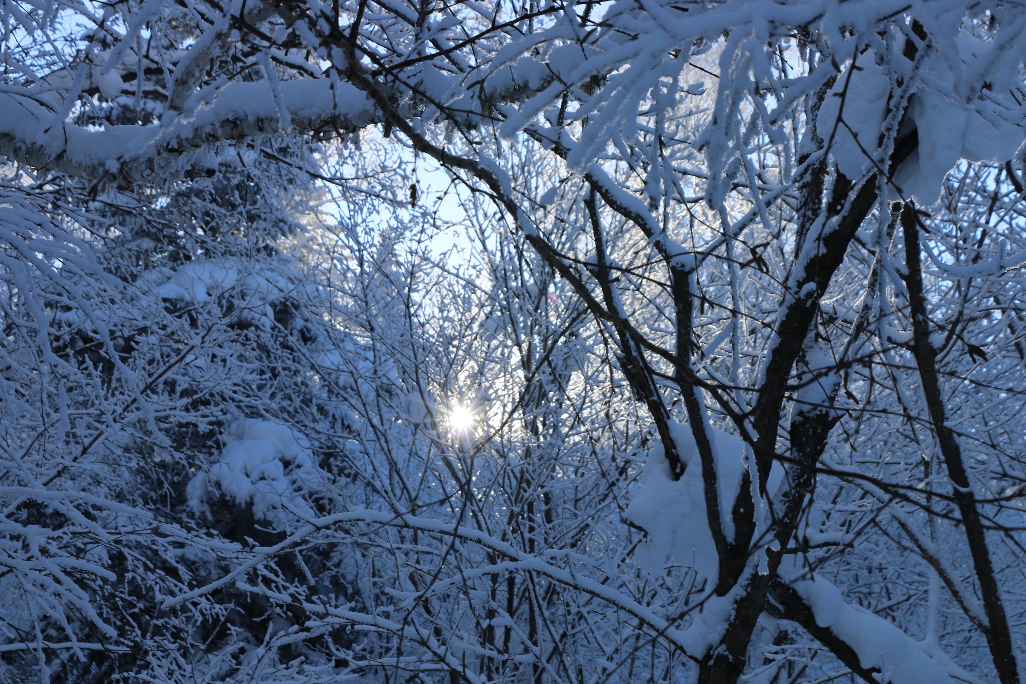 雪鄉自助遊攻略