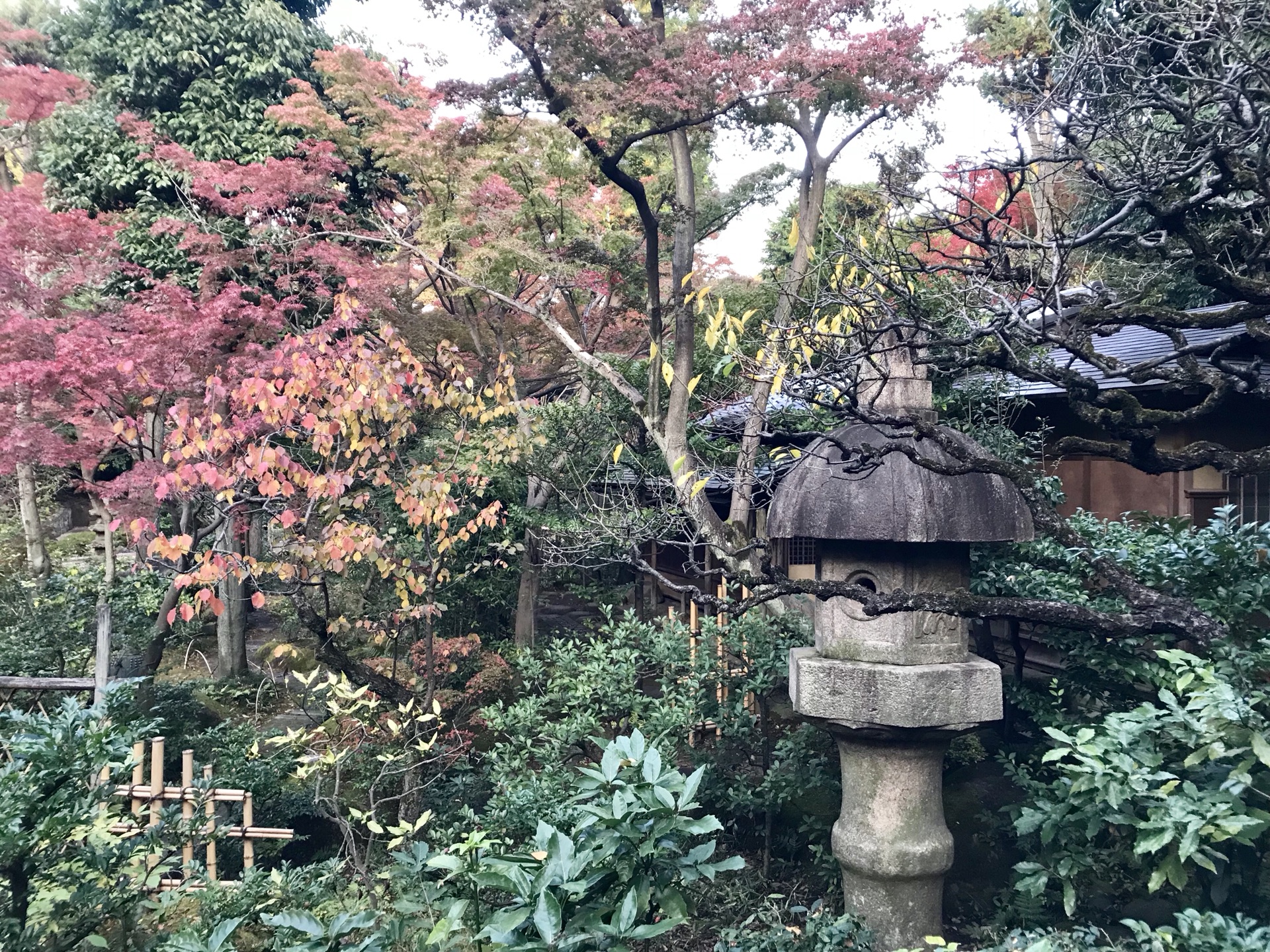 箱根自助遊攻略