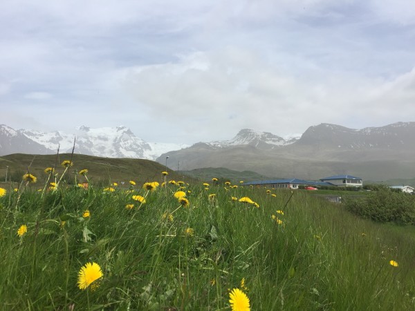 你想看的都在这里,冰岛南部海岸,杰古沙龙冰湖
