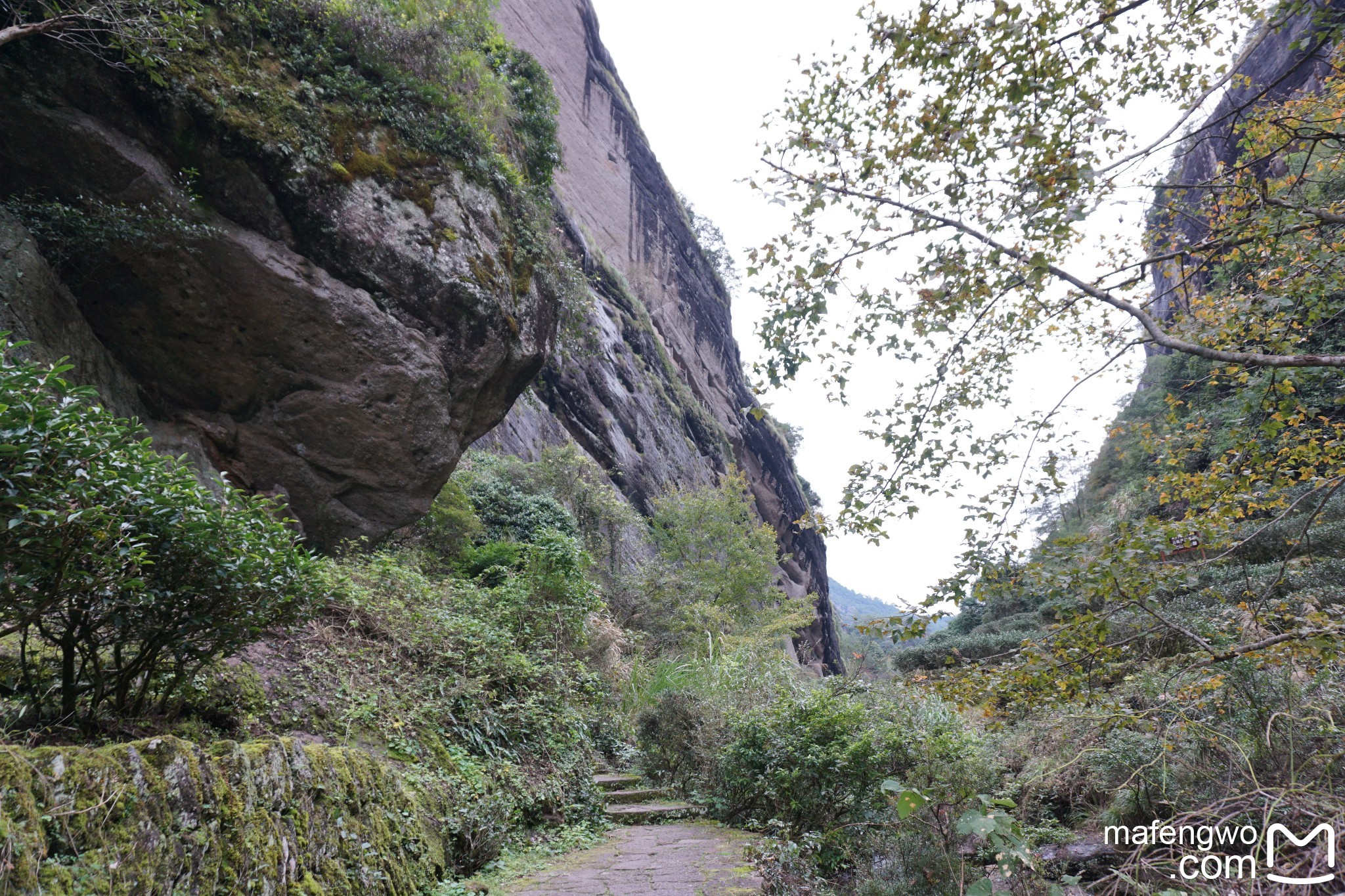 武夷山自助遊攻略