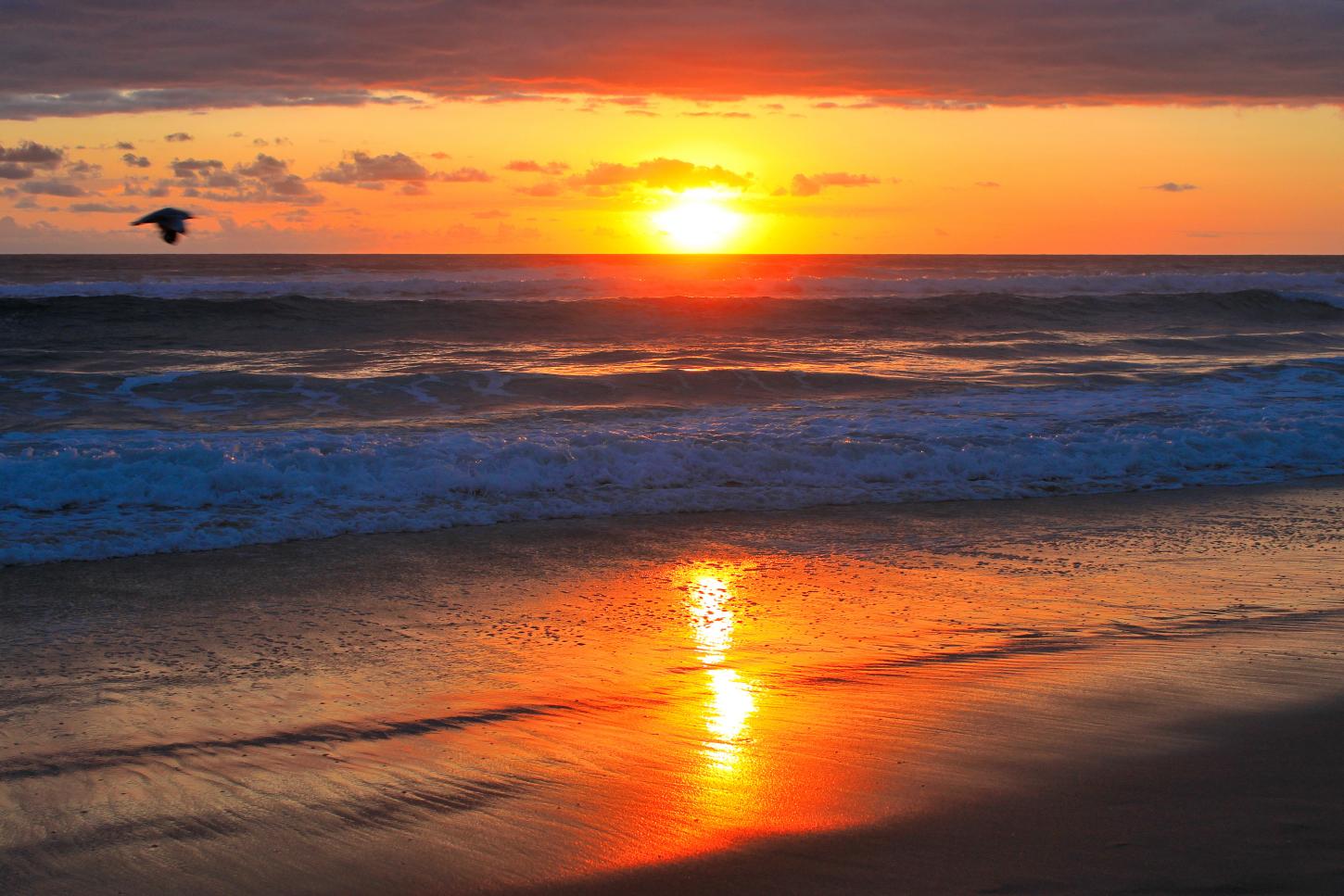 旅游险个人可以买吗 旅游意外险哪里买