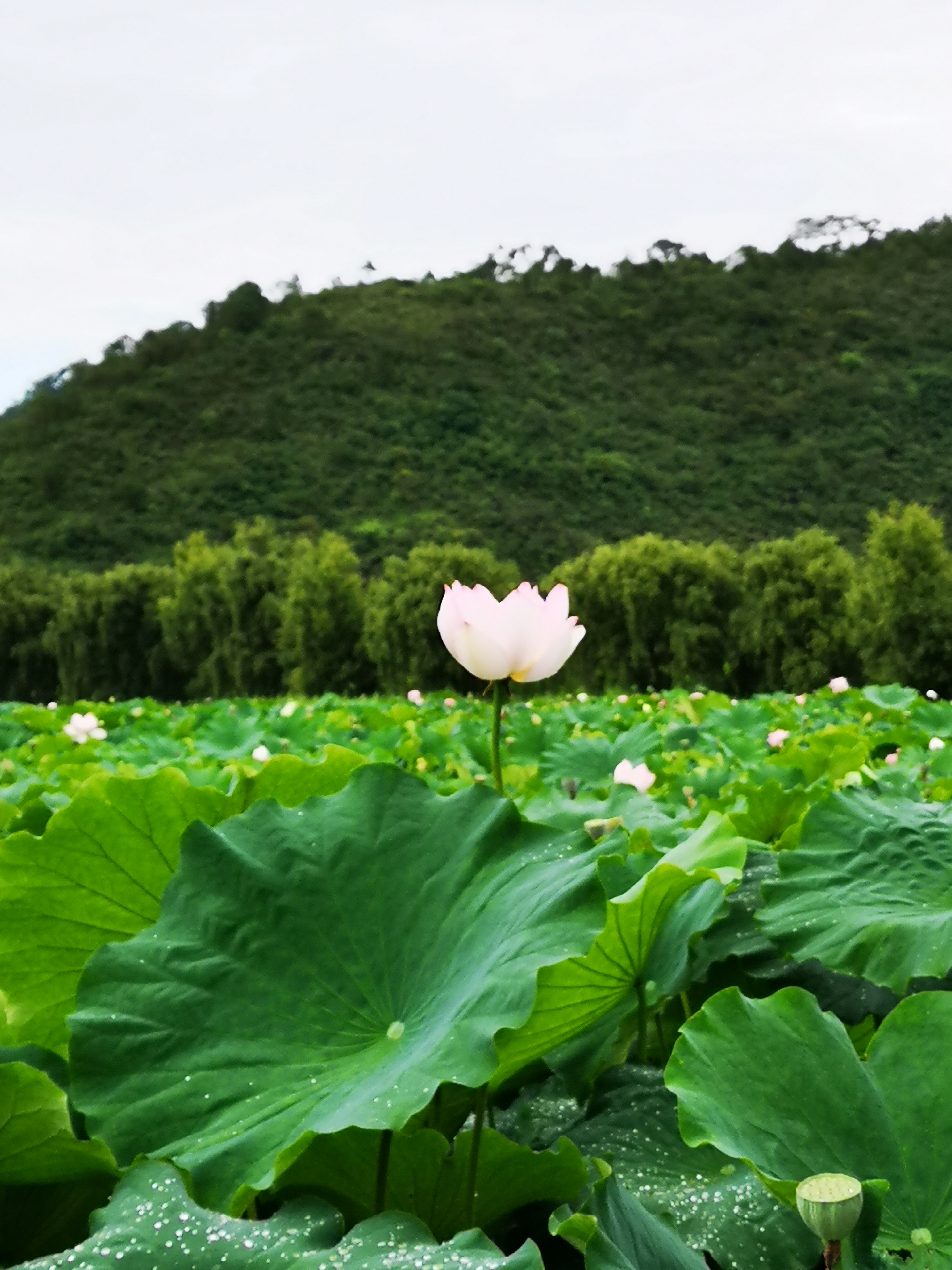 施甸县旅游景点图片