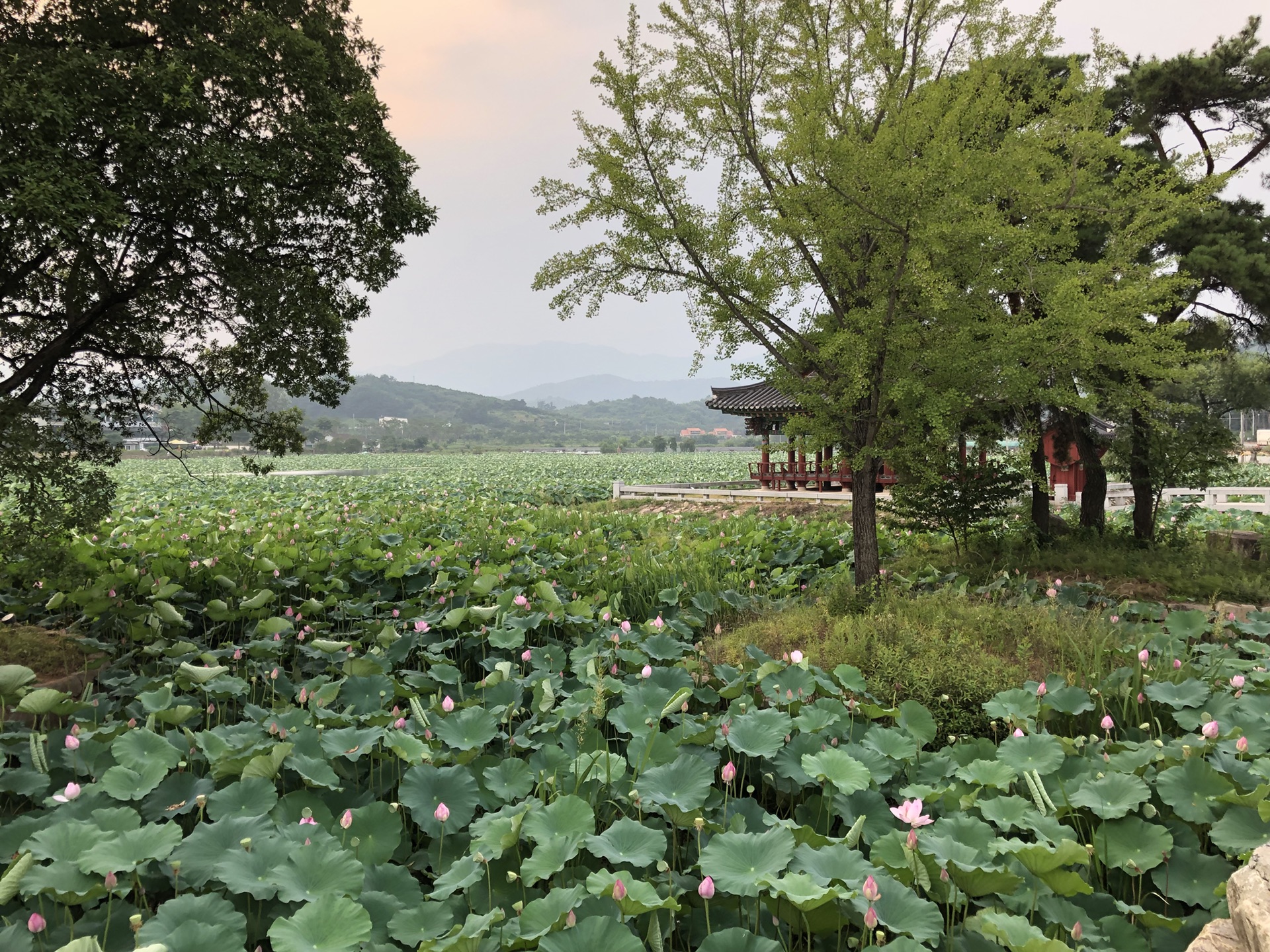 韓國自助遊攻略