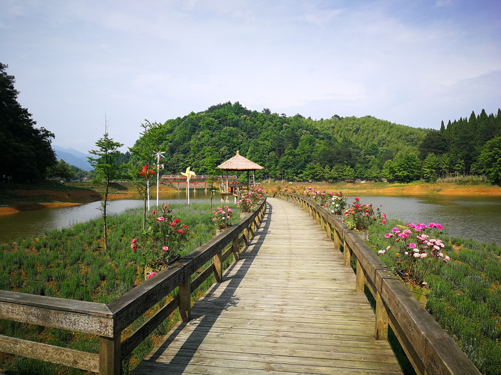 龙川湾景区旅游攻略(龙川湾景区有啥好玩的)