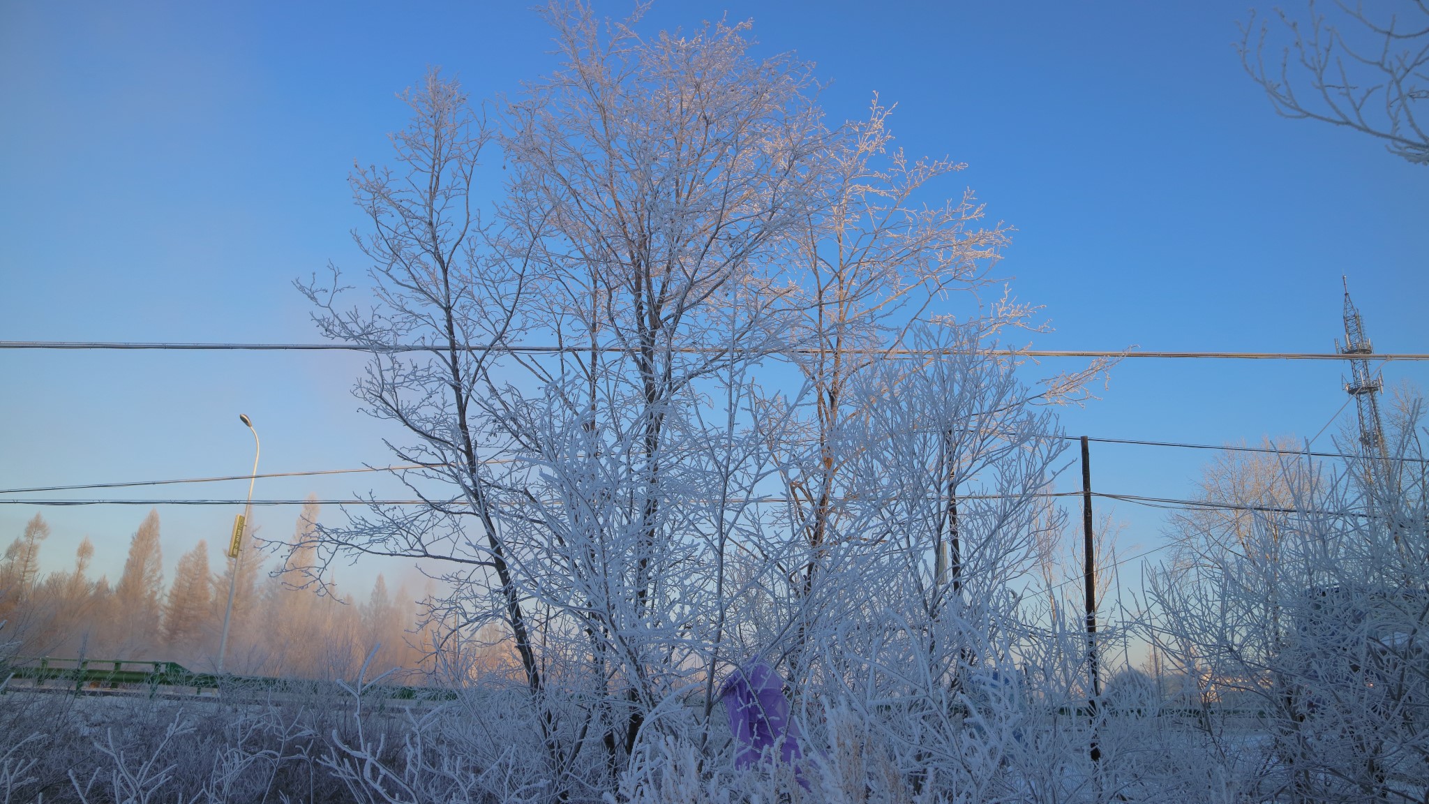 雪鄉自助遊攻略