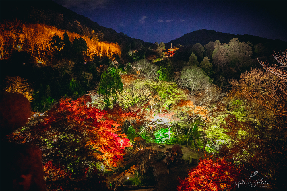 京都自助遊攻略