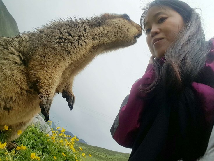 徒步莫斯卡擁抱雪豬子膜拜亞青寺露營新路海川西環線自駕攻略