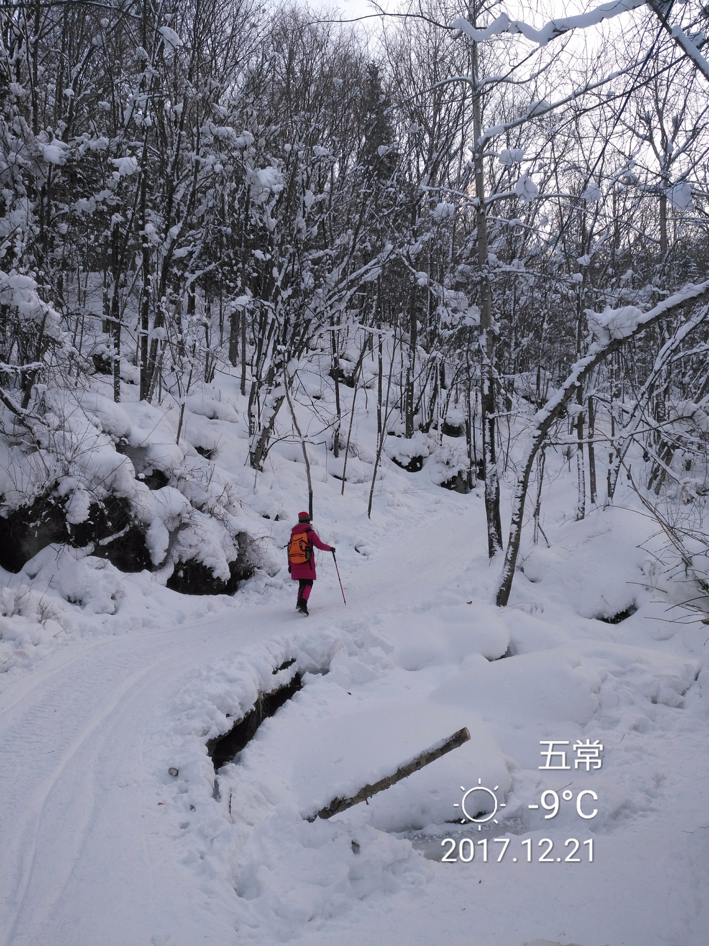 雪鄉自助遊攻略