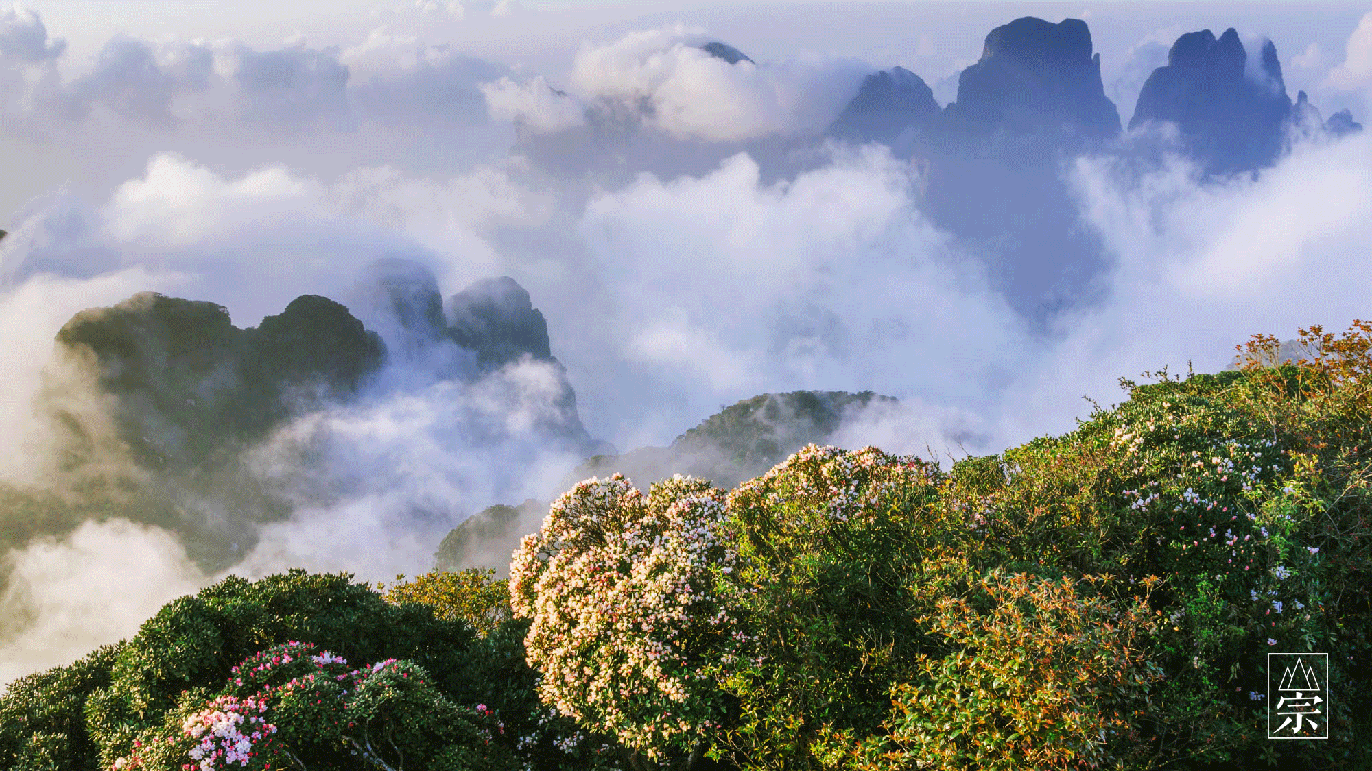 金秀圣堂山:云兴霞蔚的花海秘境