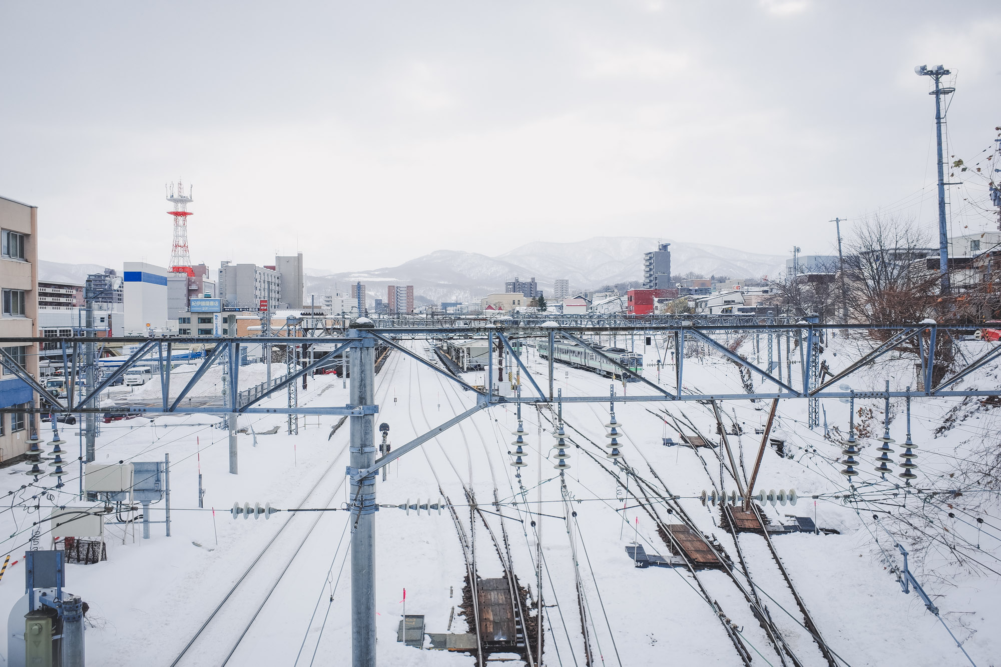 北海道自助遊攻略