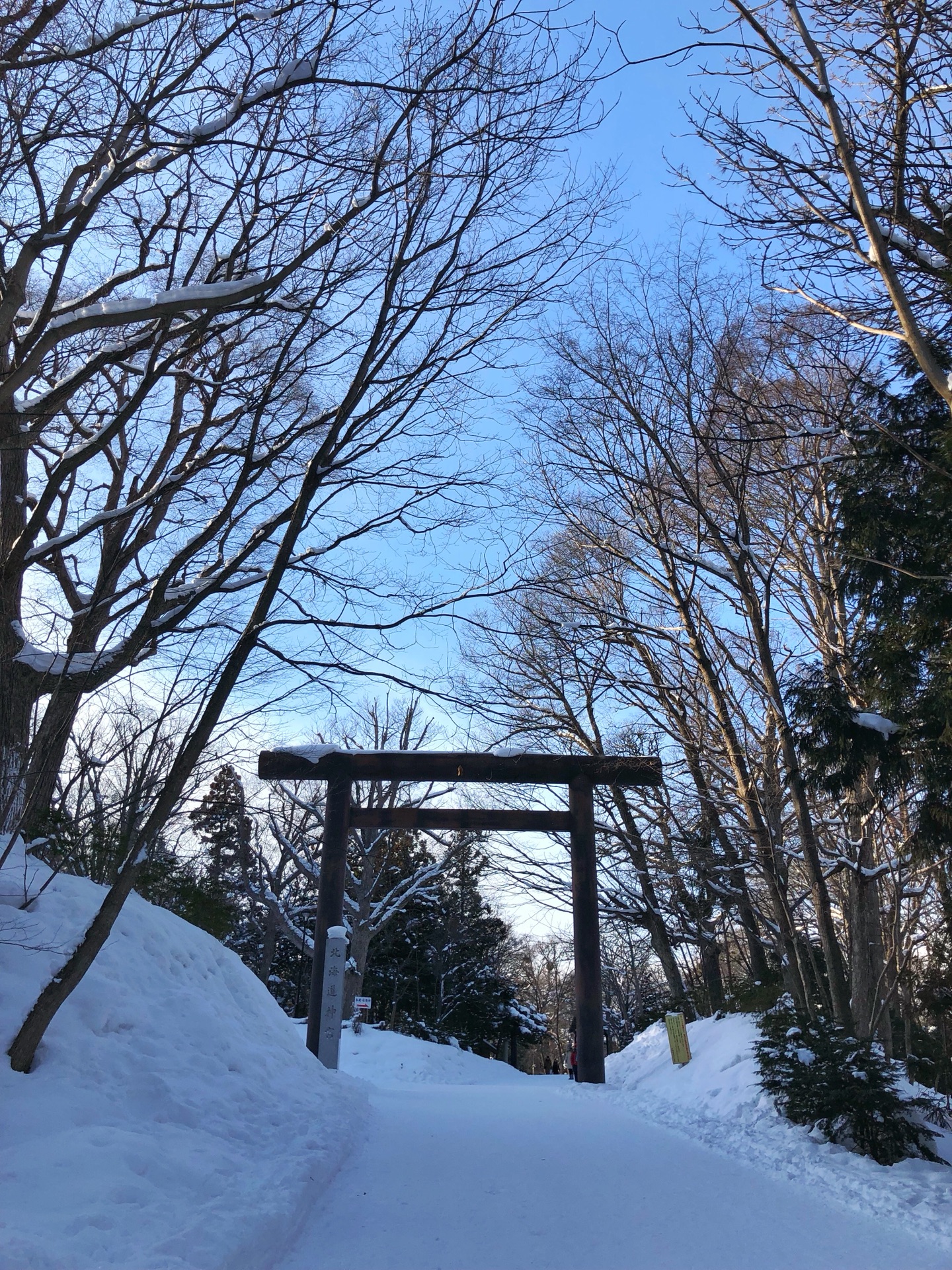 札幌自助遊攻略