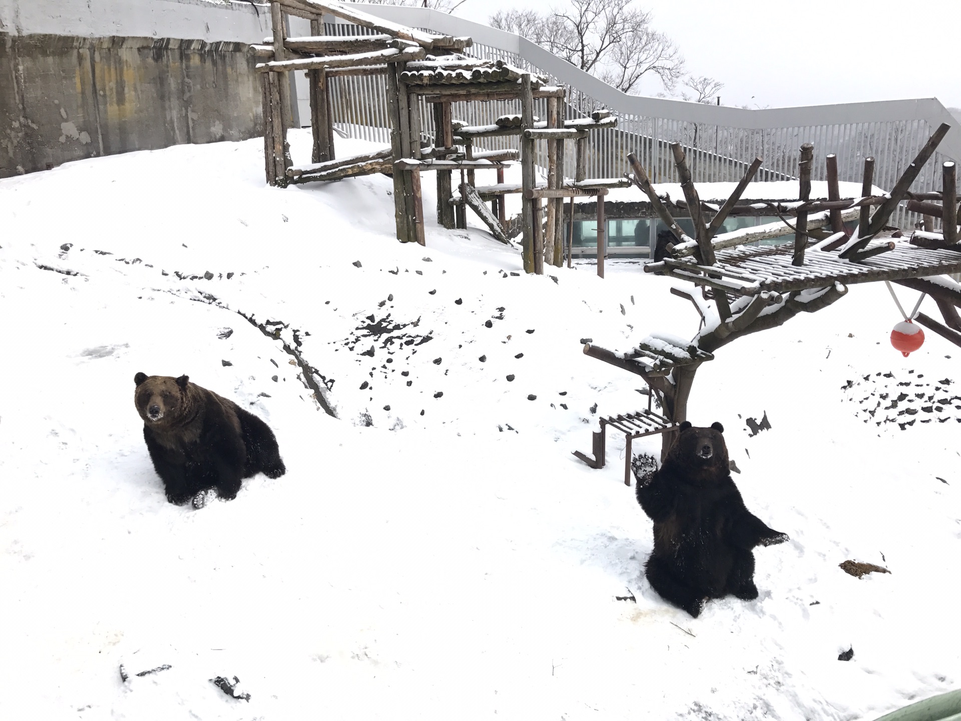 北海道自助遊攻略