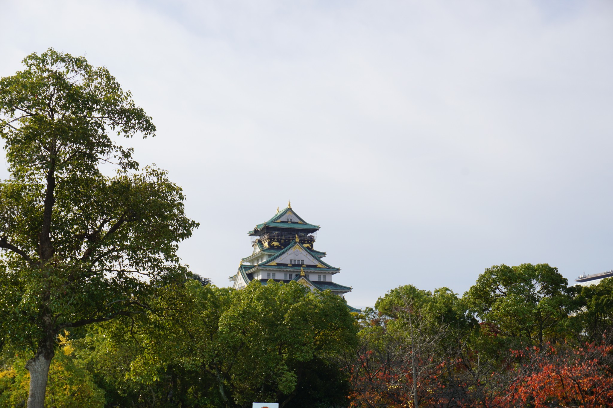 京都自助遊攻略