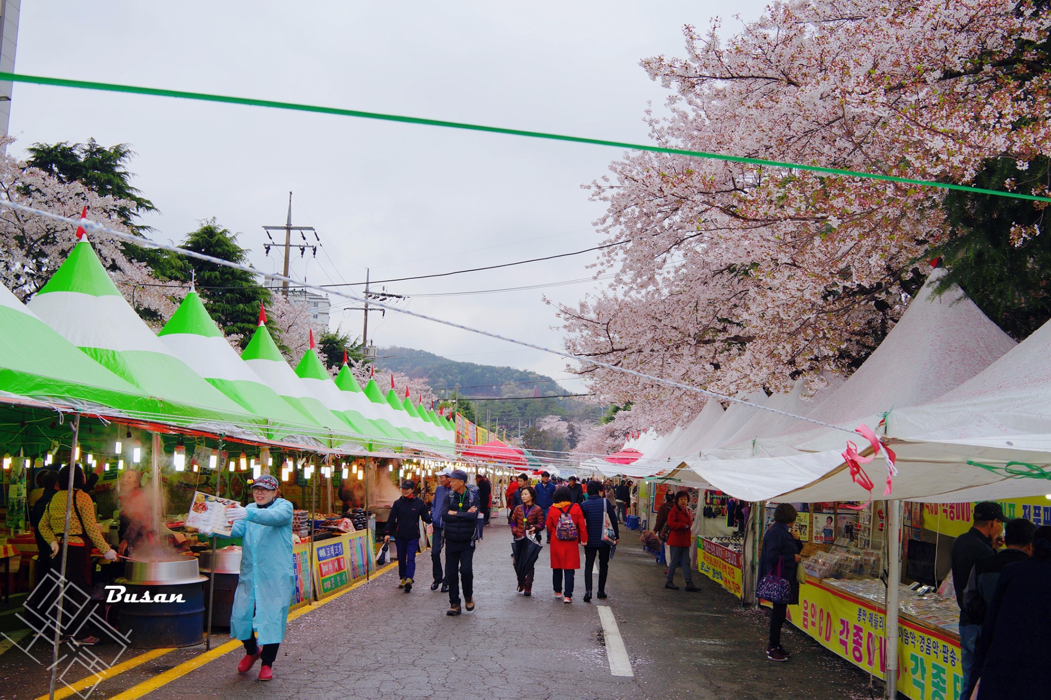 釜山自助遊攻略