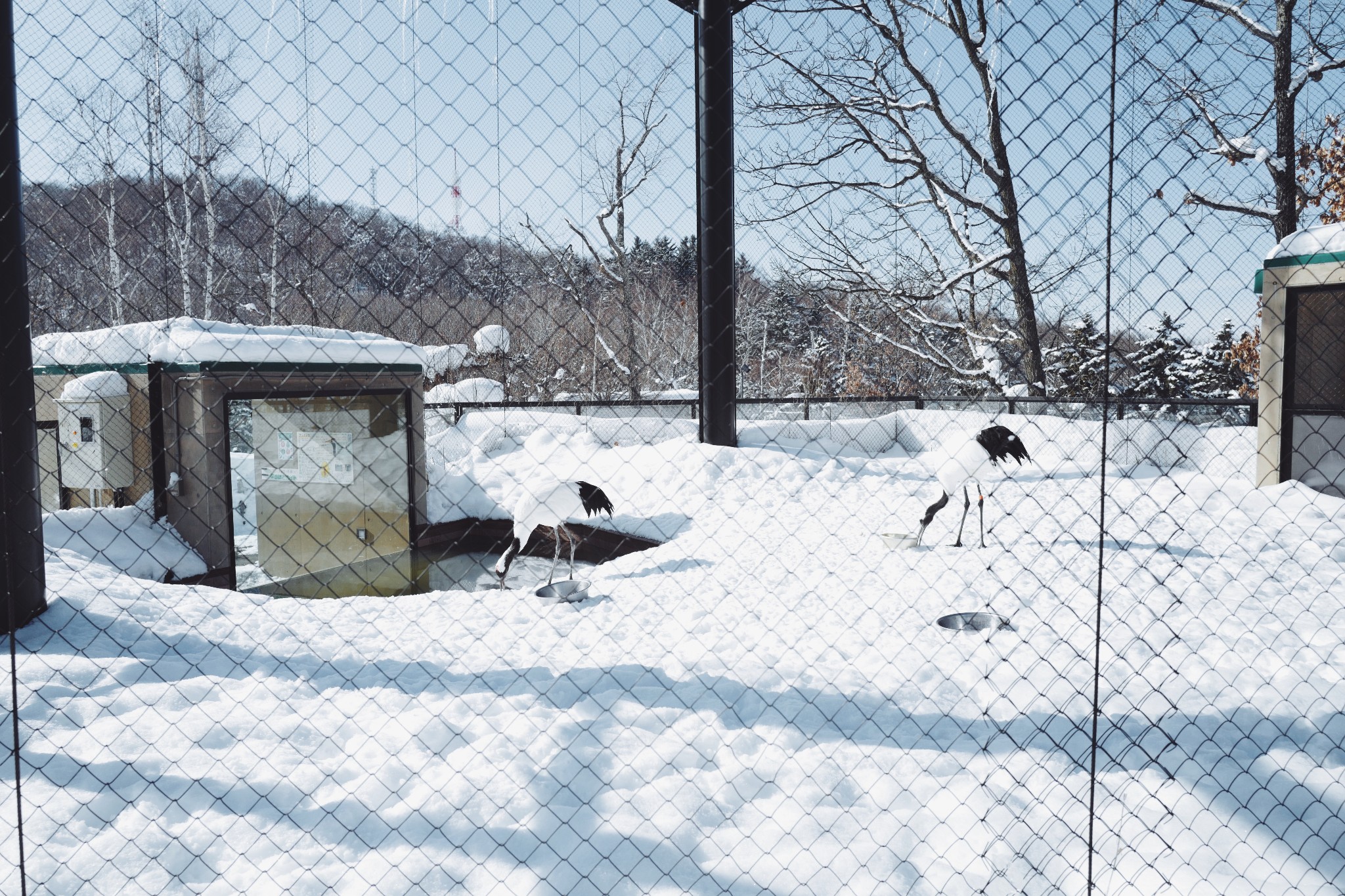 北海道自助遊攻略