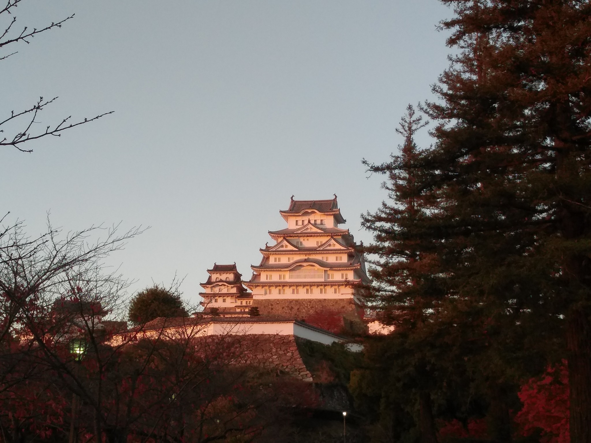 京都自助遊攻略