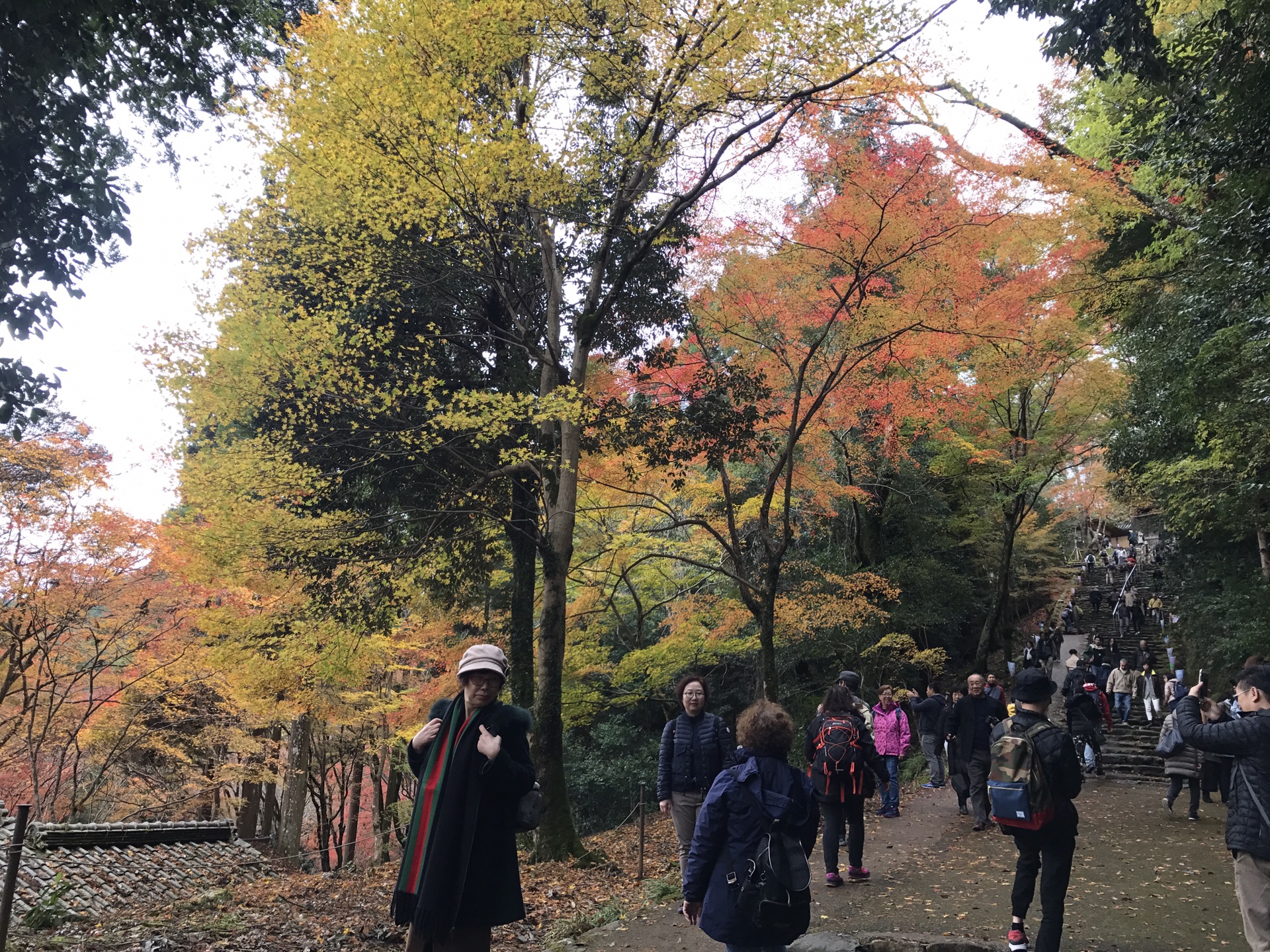 京都自助遊攻略