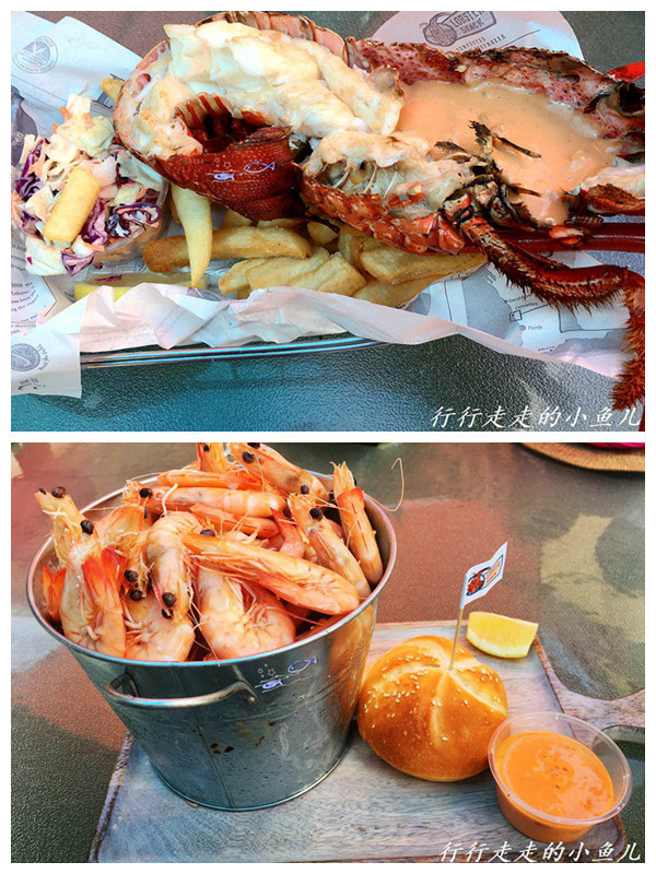 澳洲有哪些海鲜品类非常美味 值得推荐 马蜂窝