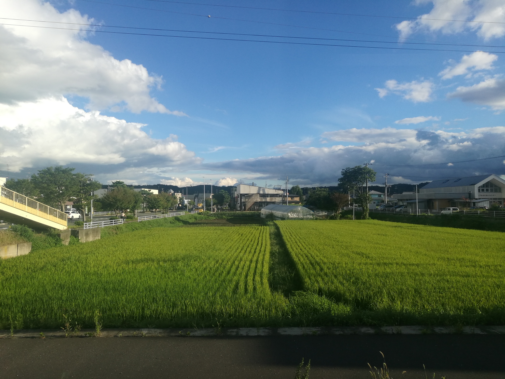 東京自助遊攻略