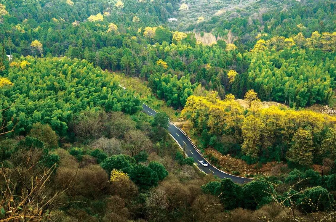 太阳山森林公园