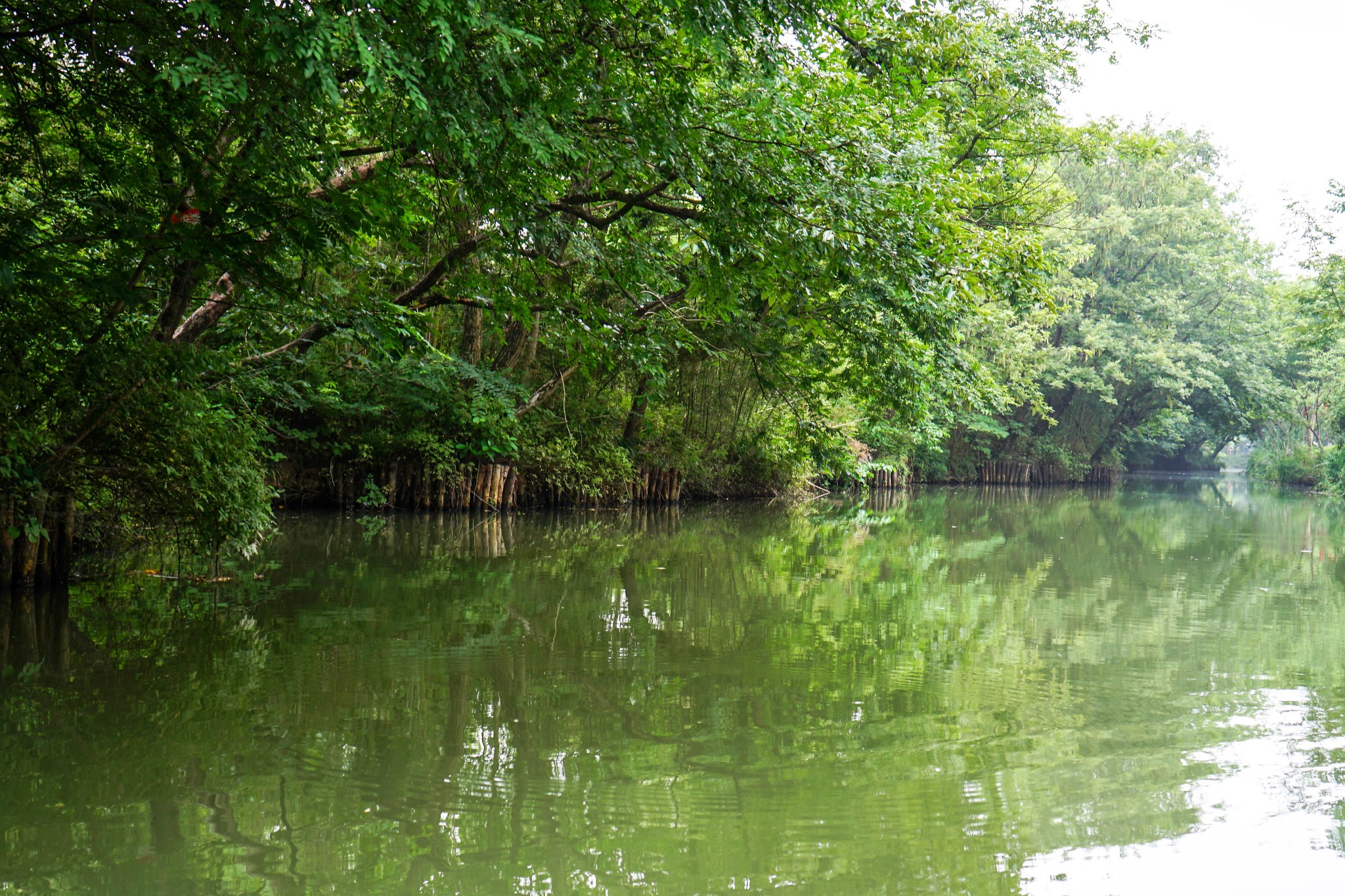 西溪溼地福堤景色如何,西溪溼地福堤有哪些福,西溪溼地福堤介紹