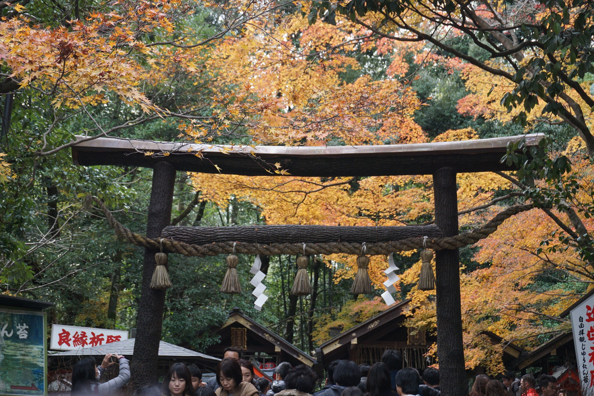 京都自助遊攻略