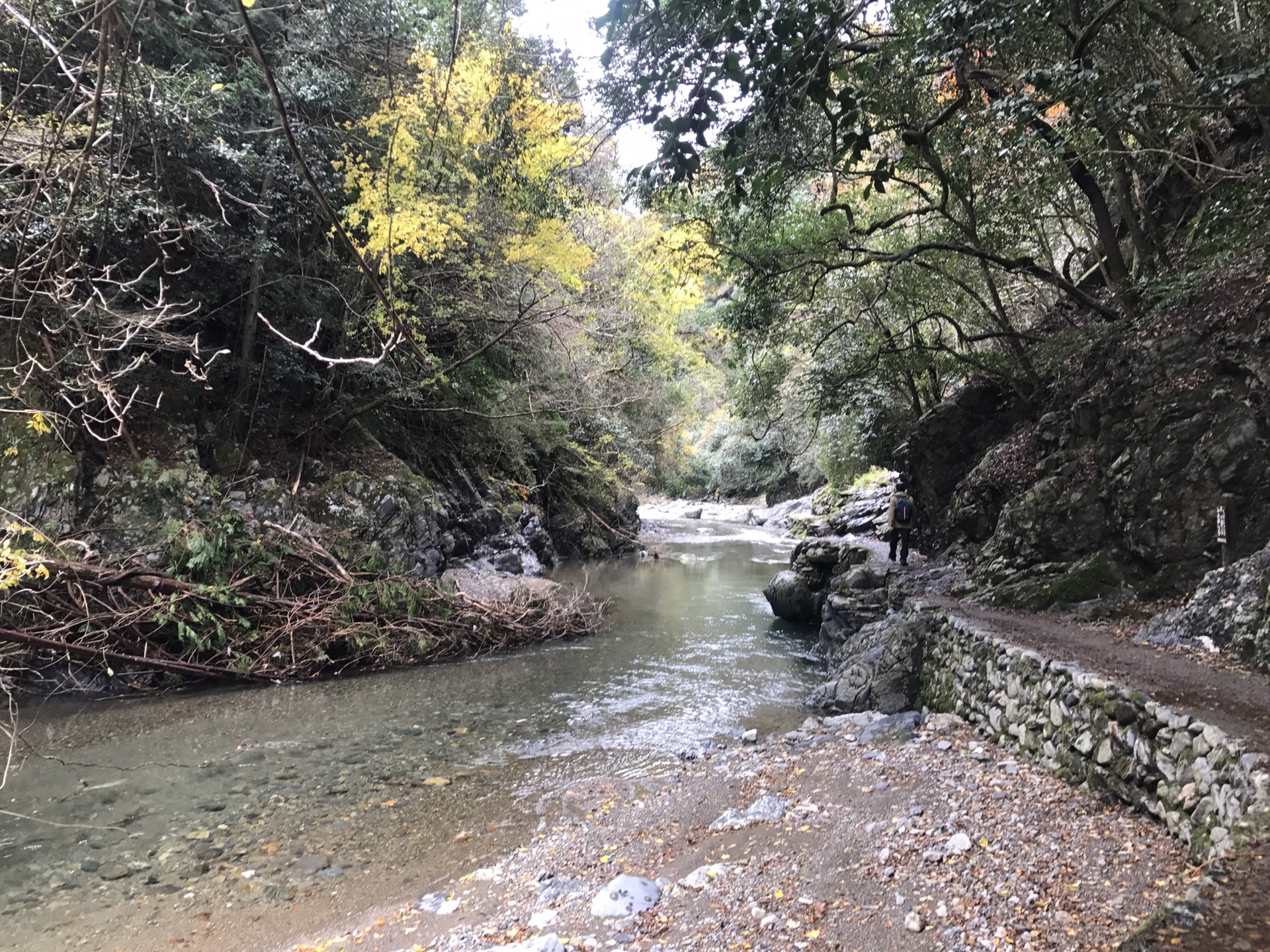 京都自助遊攻略