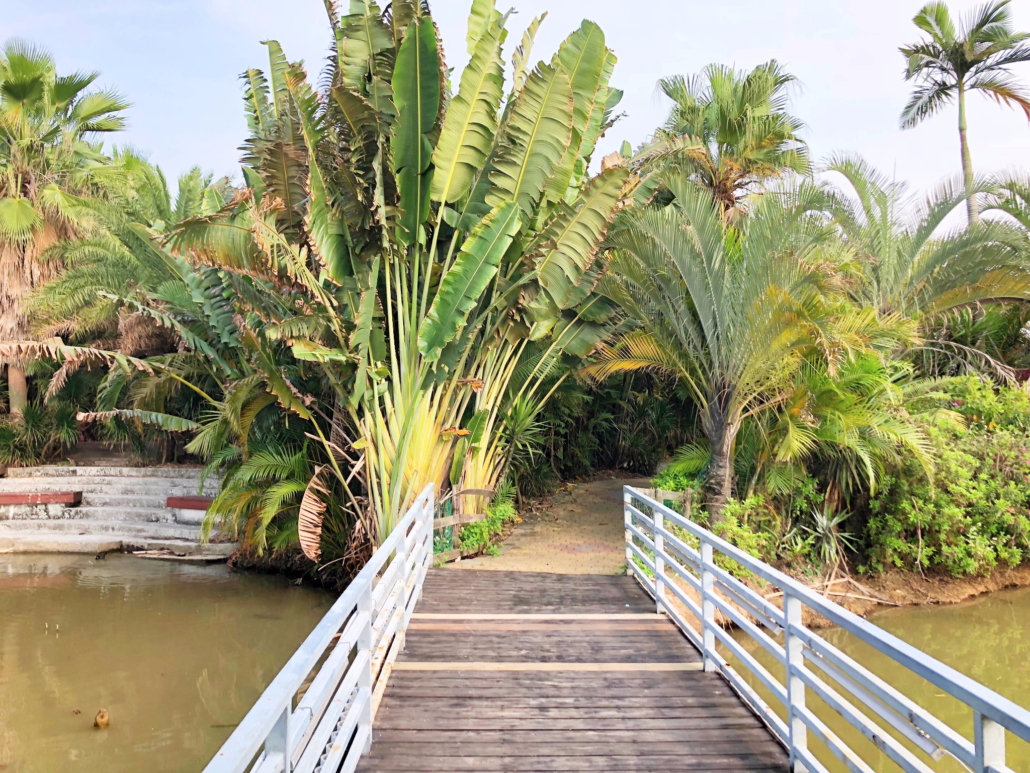 广州家庭亲子游 | 在热带风情的水鸟世界跟鸟儿们来场亲密互动