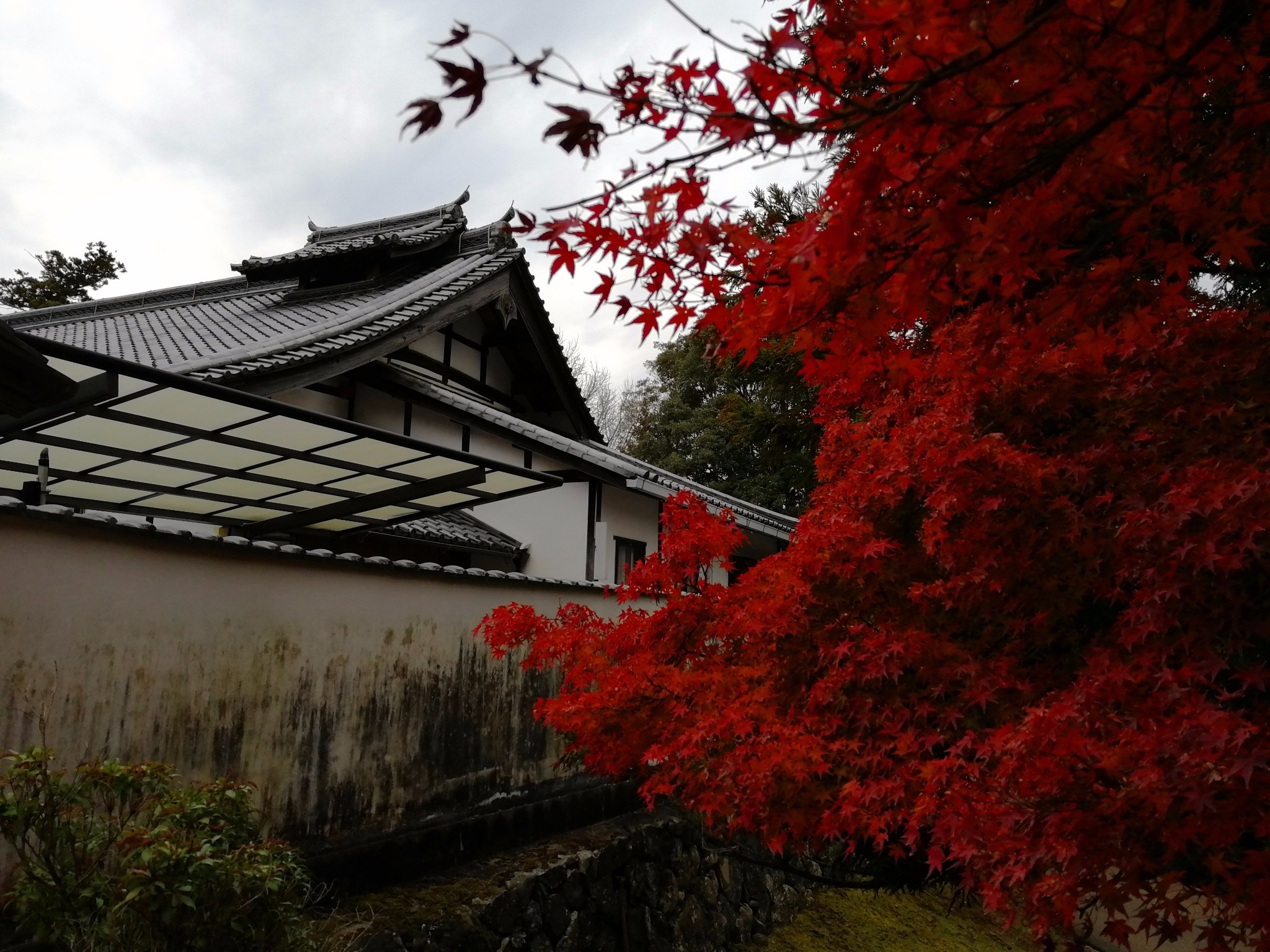 京都自助遊攻略