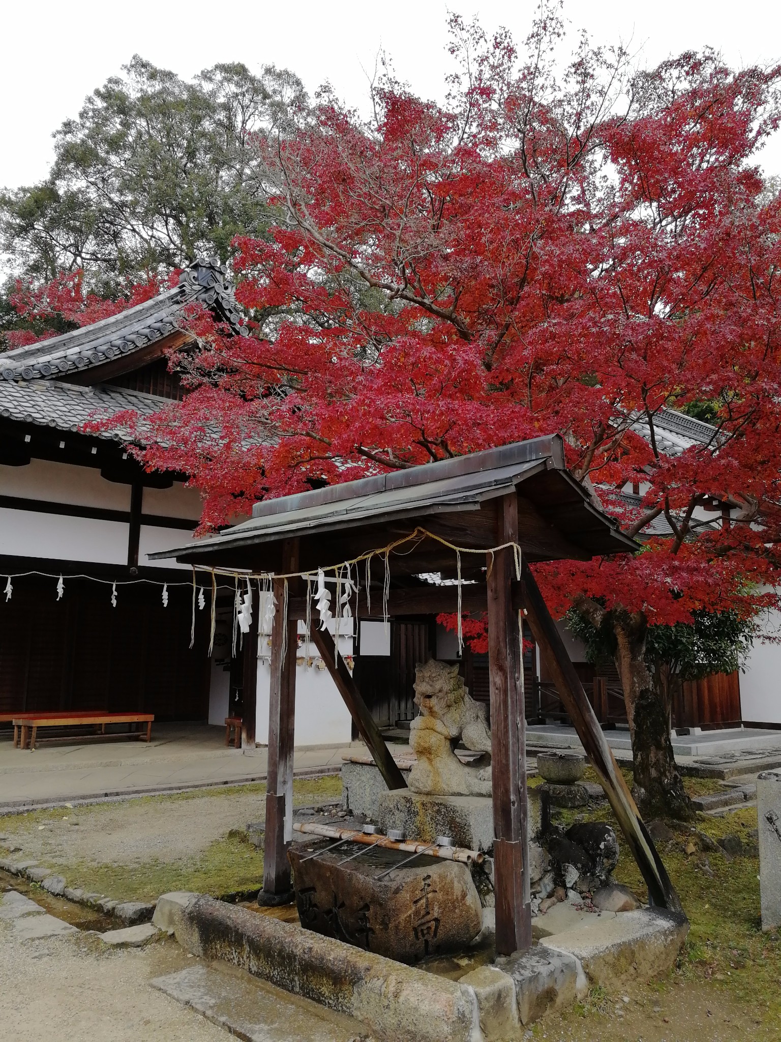 京都自助遊攻略