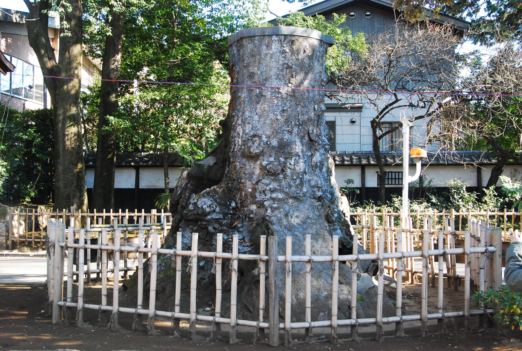 東京自助遊攻略